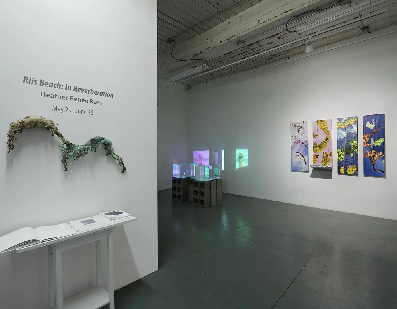 Riis Beach: In Reverberation. Solo exhibition at NARS Foundation, Summer 2026
