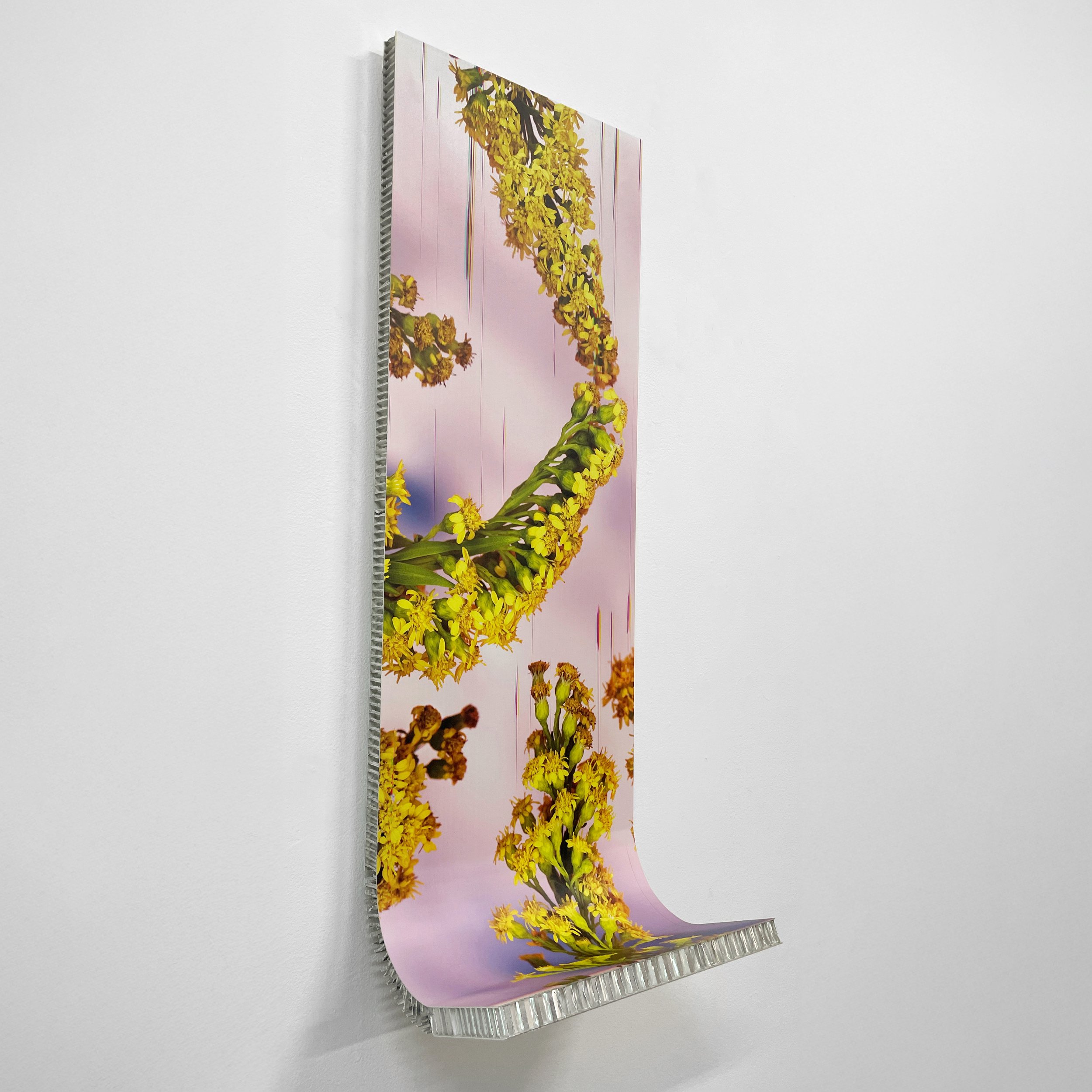 Tender Arc, Bracing, 2026, 15 x 45"