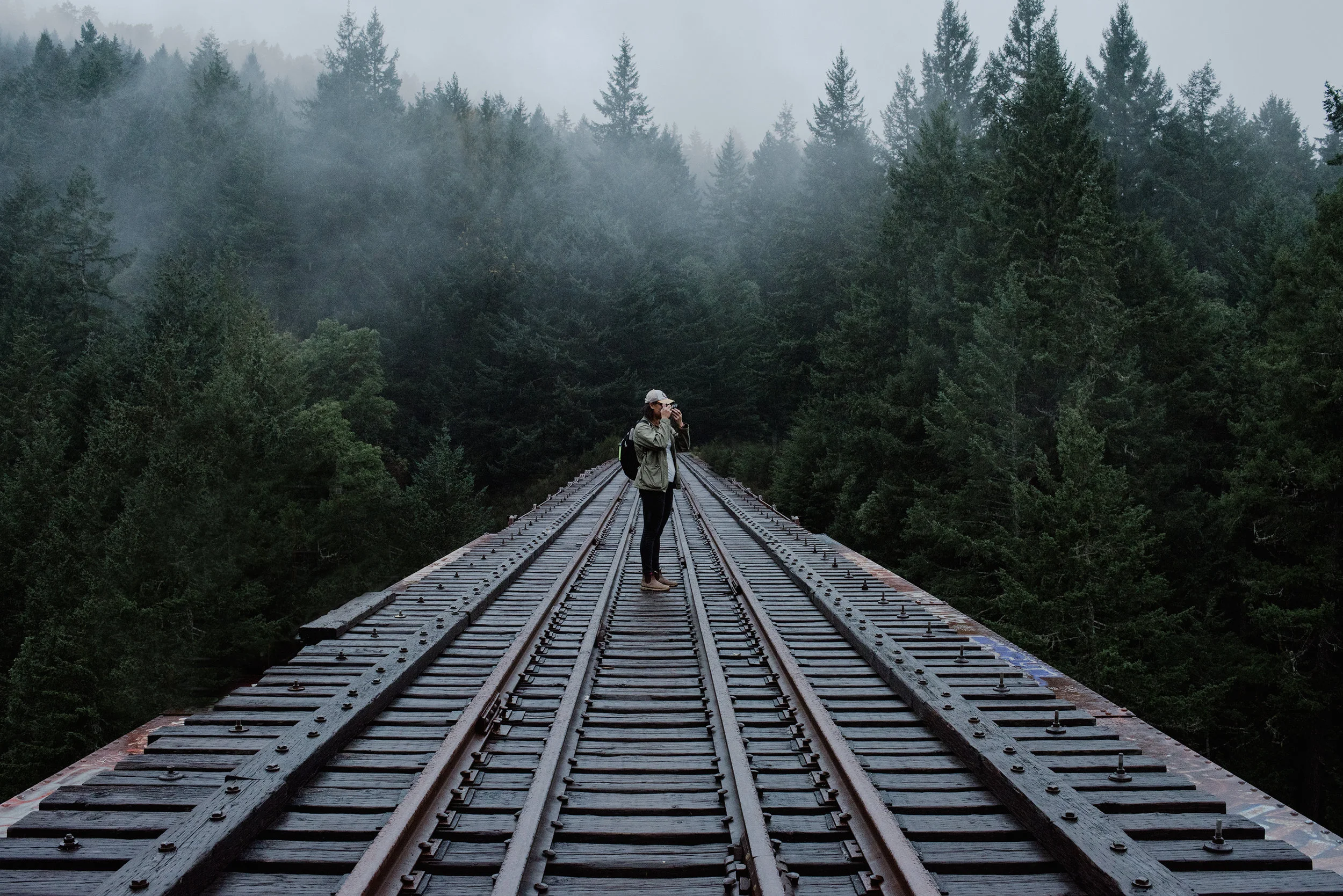  11/12/2017 Angel Chen, Goldstream Provincial Park 