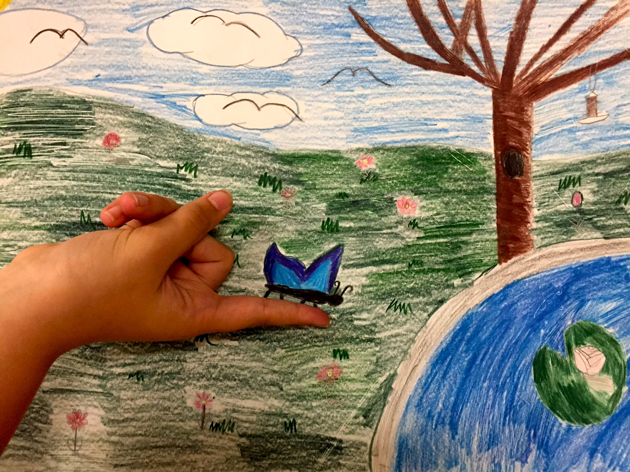 Butterfly Landing