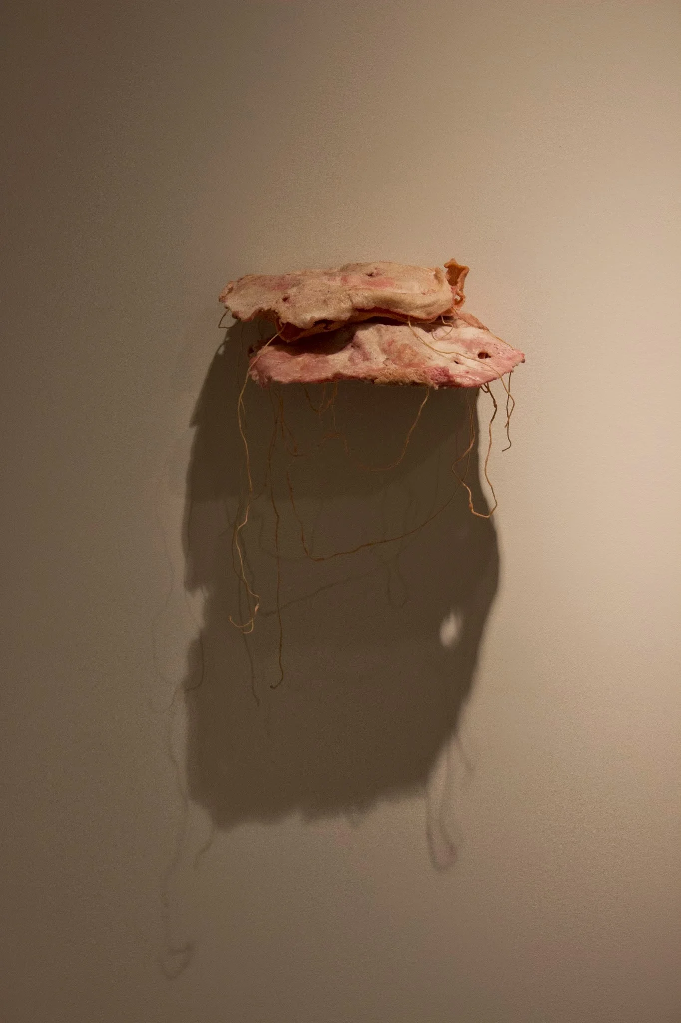 141209_Thesis Installation_2470.jpg