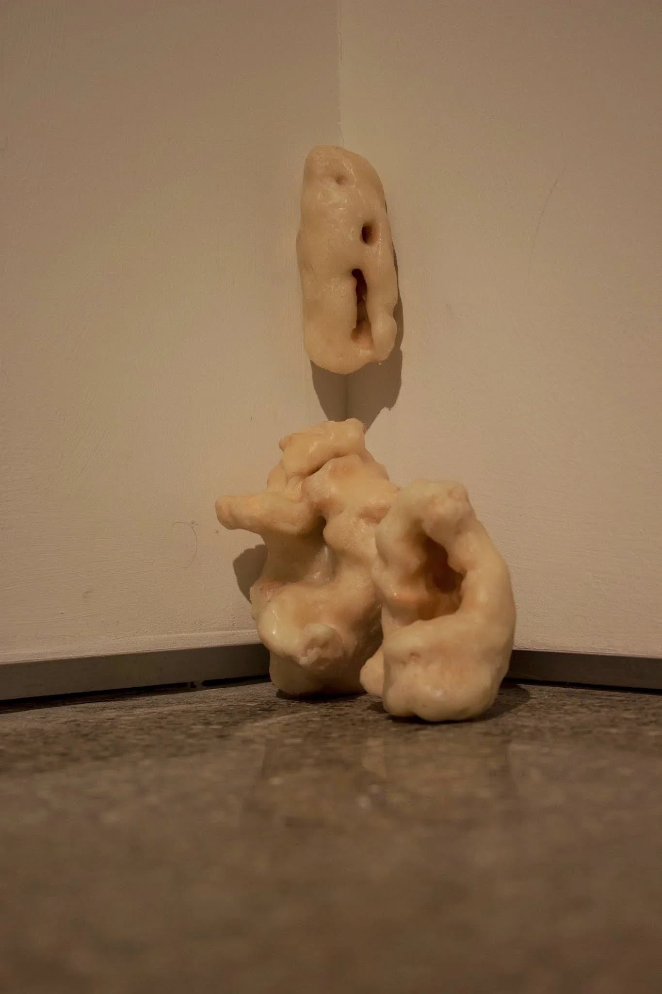 141209_Thesis Installation_2484.jpg