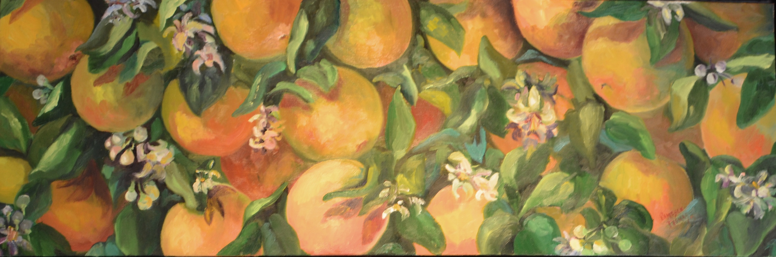 DSC_0150 - Version 2.JPG