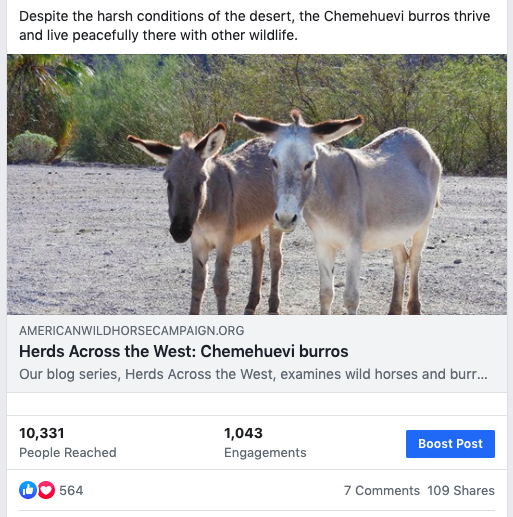 Burros Herd Blog.png