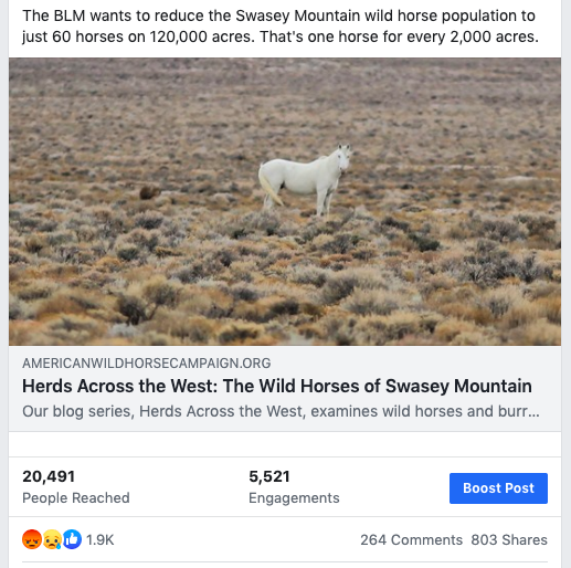 Swasey Herd Blog.png