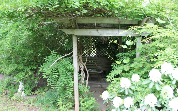 Our secret garden room, laden with grapes and wisteria (that hasn't bloomed since we have been here) but if this year is like last we will have a great supply of grapes. There are more garden pictures on my Flickr page, link to the left in the sidebar.