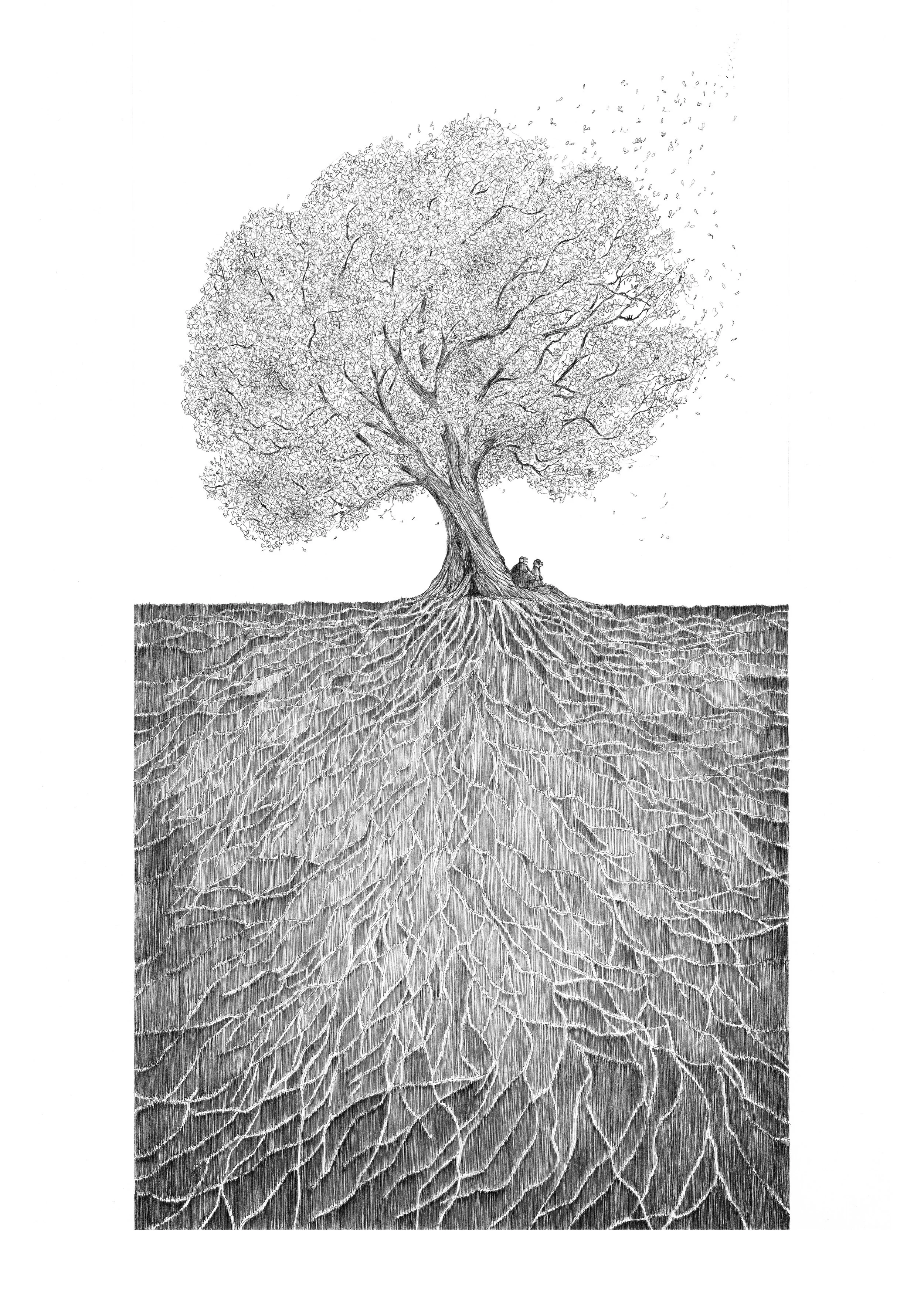 Rooted From Rooted from the book 'Together' — Luke Adam Hawker