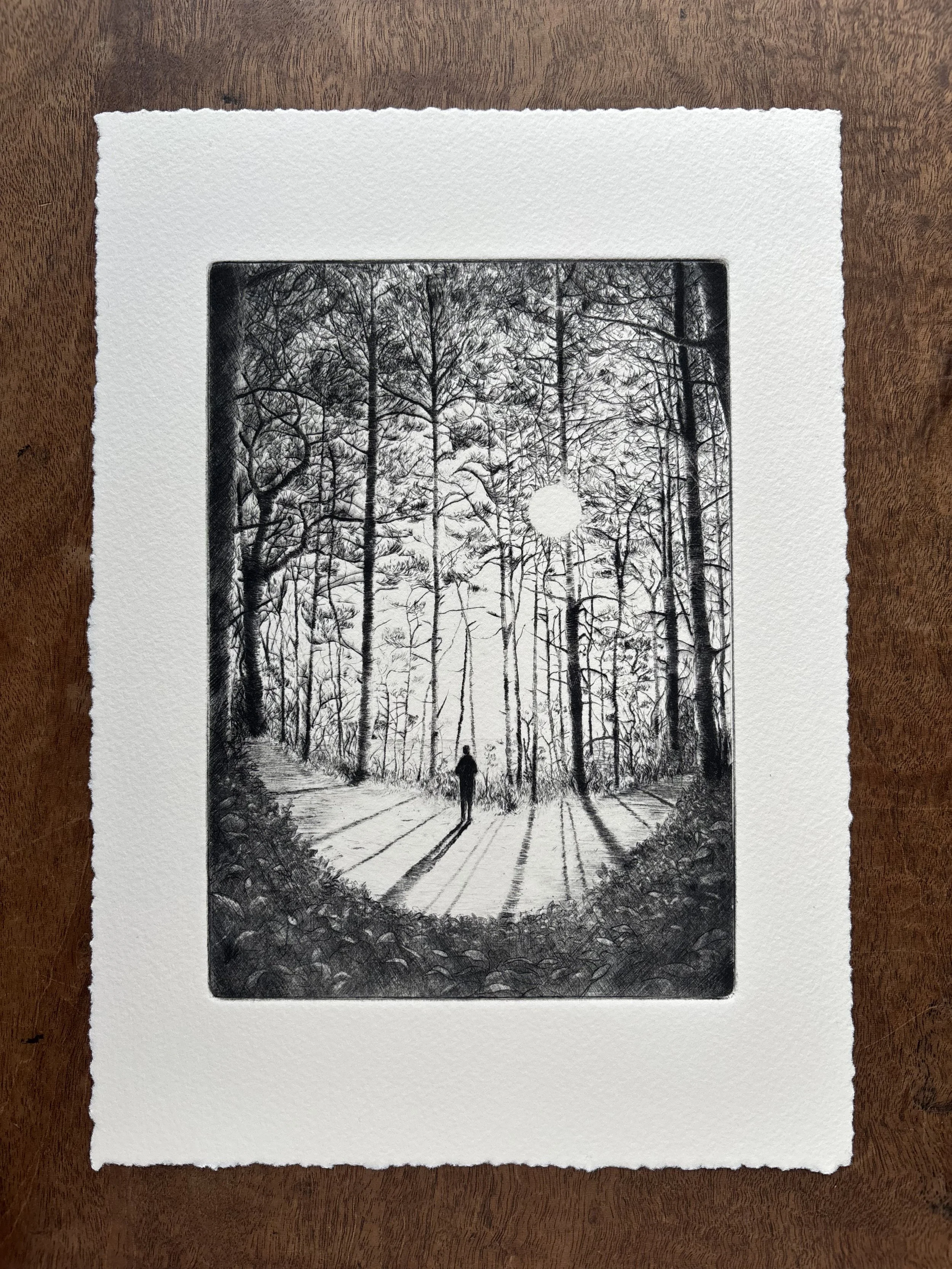 Apricity  - 1st Edition