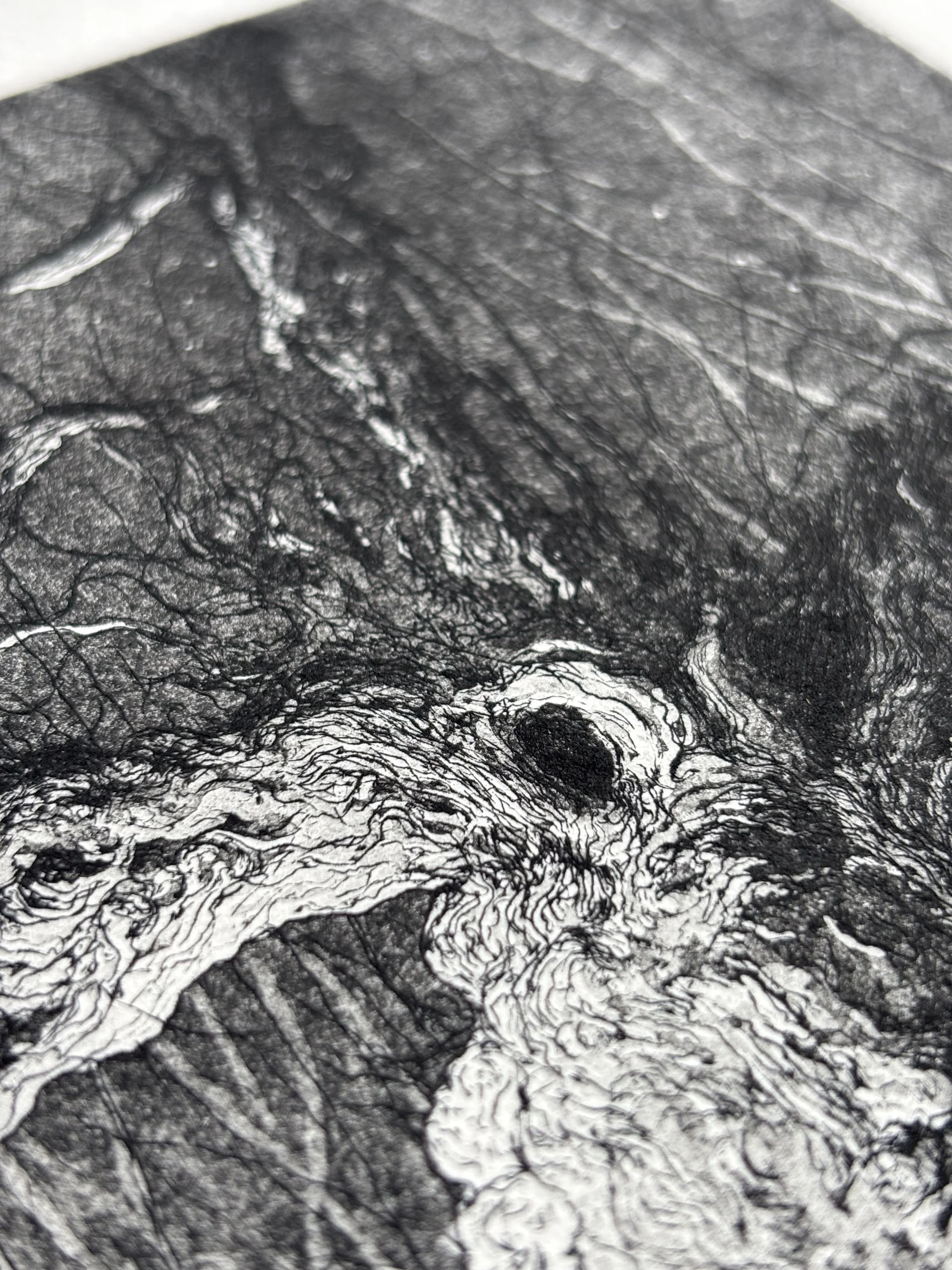 IMG_4863.jpg (Copy) (Copy) (Copy) (Copy) (Copy) (Copy) (Copy) (Copy) (Copy) (Copy) (Copy) (Copy) (Copy) (Copy) (Copy) (Copy) (Copy) (Copy) (Copy) (Copy)