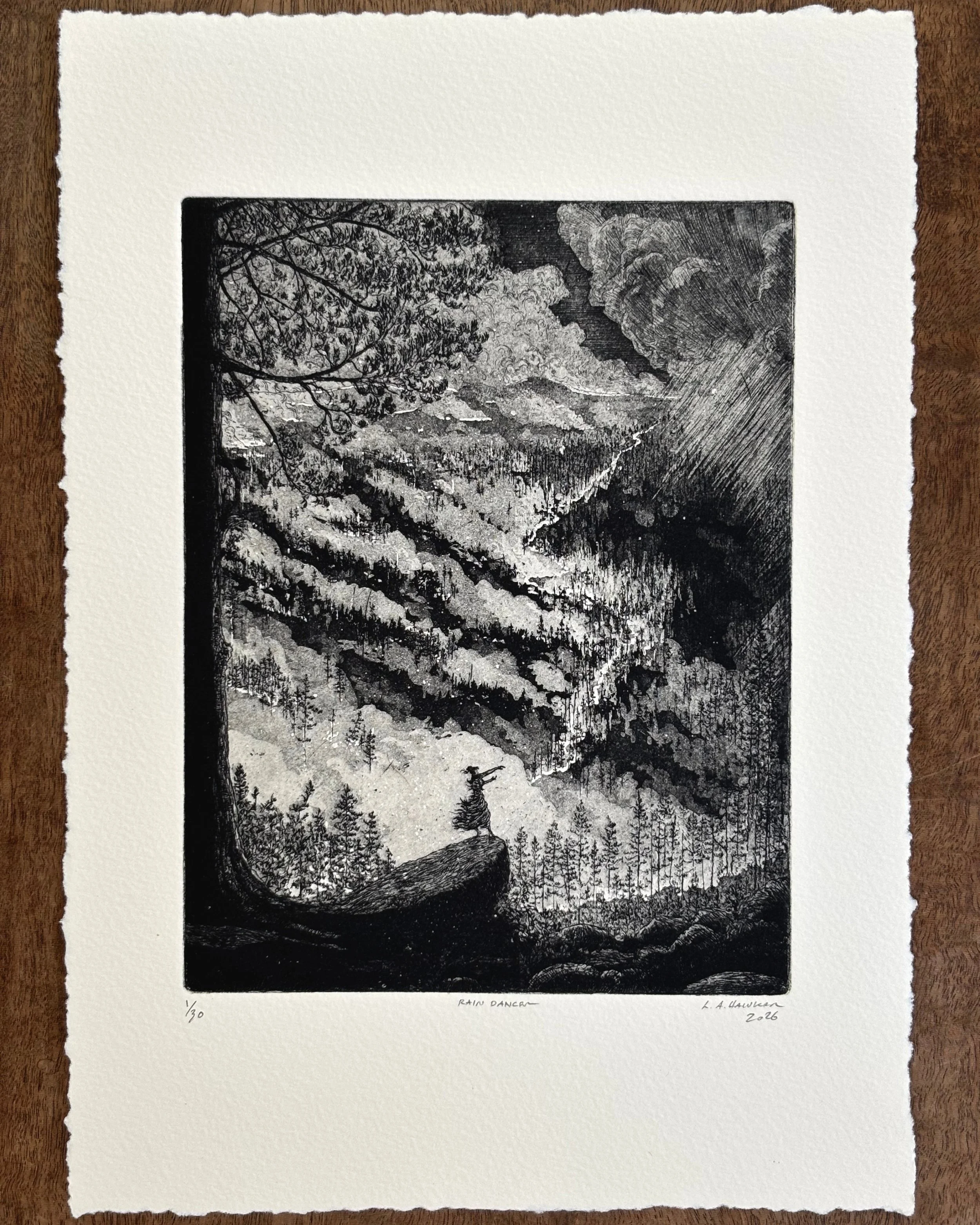 Rain Dancer - 1st Edition