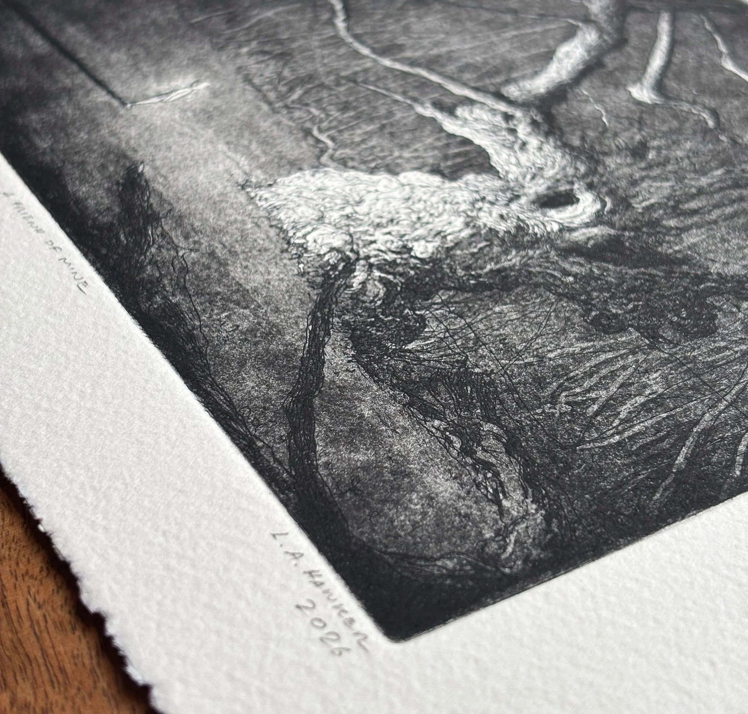 IMG_4854.jpg (Copy) (Copy) (Copy) (Copy) (Copy) (Copy) (Copy) (Copy) (Copy) (Copy) (Copy) (Copy) (Copy) (Copy) (Copy) (Copy) (Copy) (Copy) (Copy) (Copy)