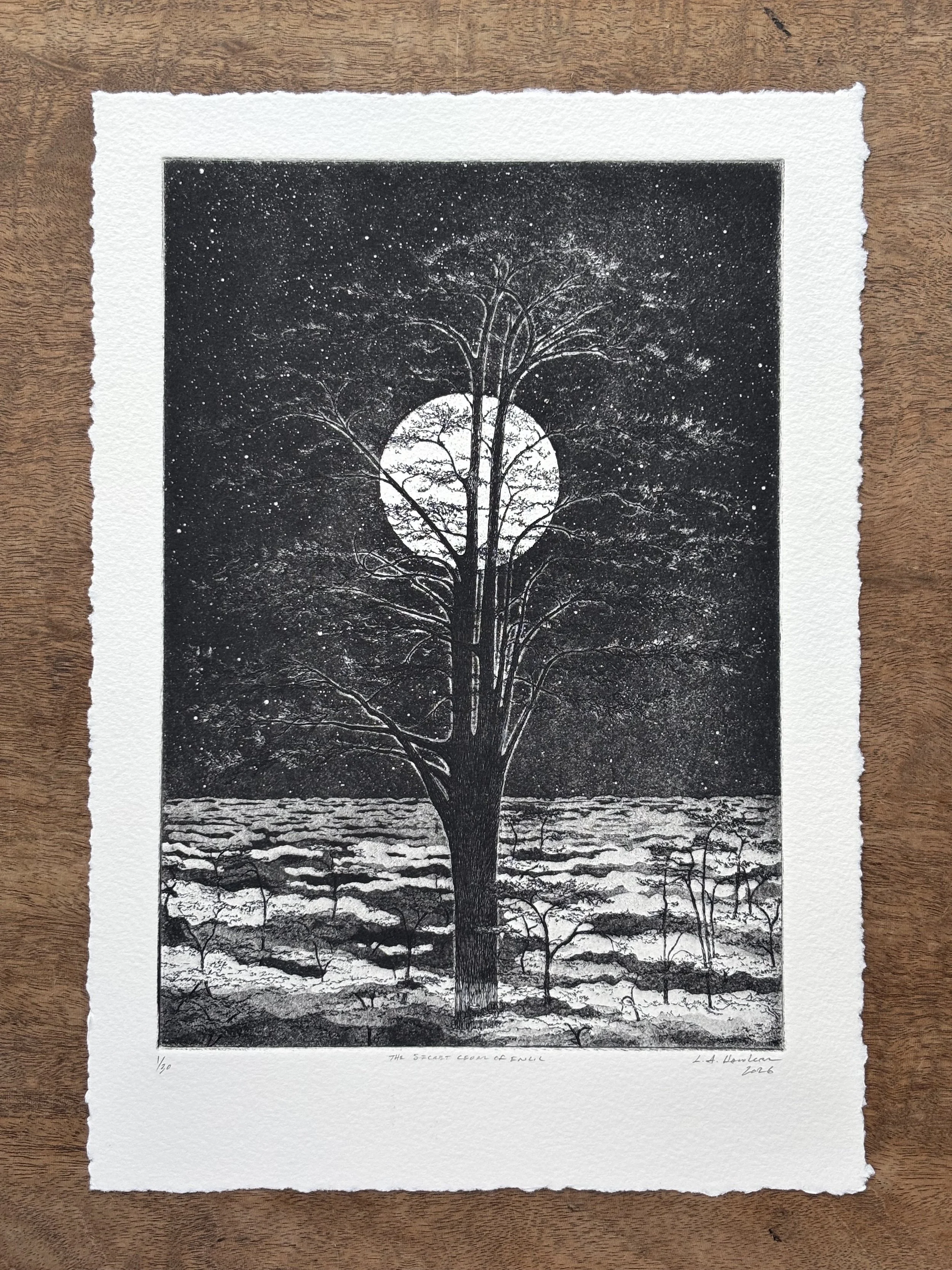 The Sacred Cedar of Enlil - 19th Edition