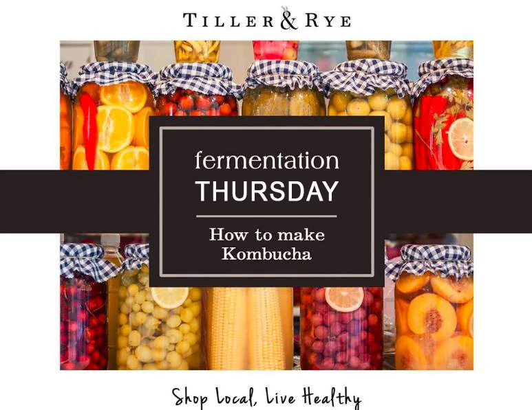 fermentationthursday.jpg