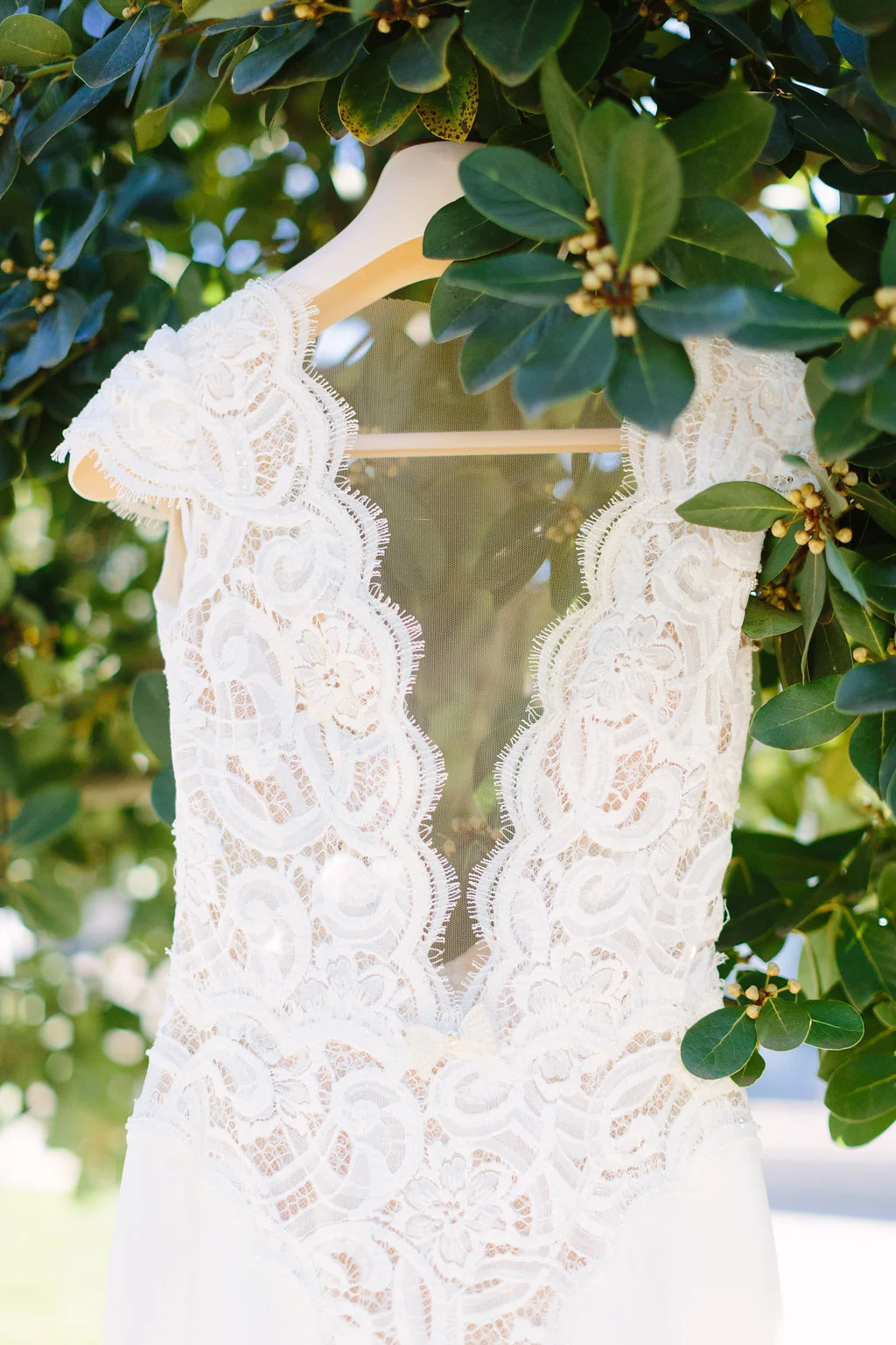 LCphoto-AB-elope-preview-01.jpg
