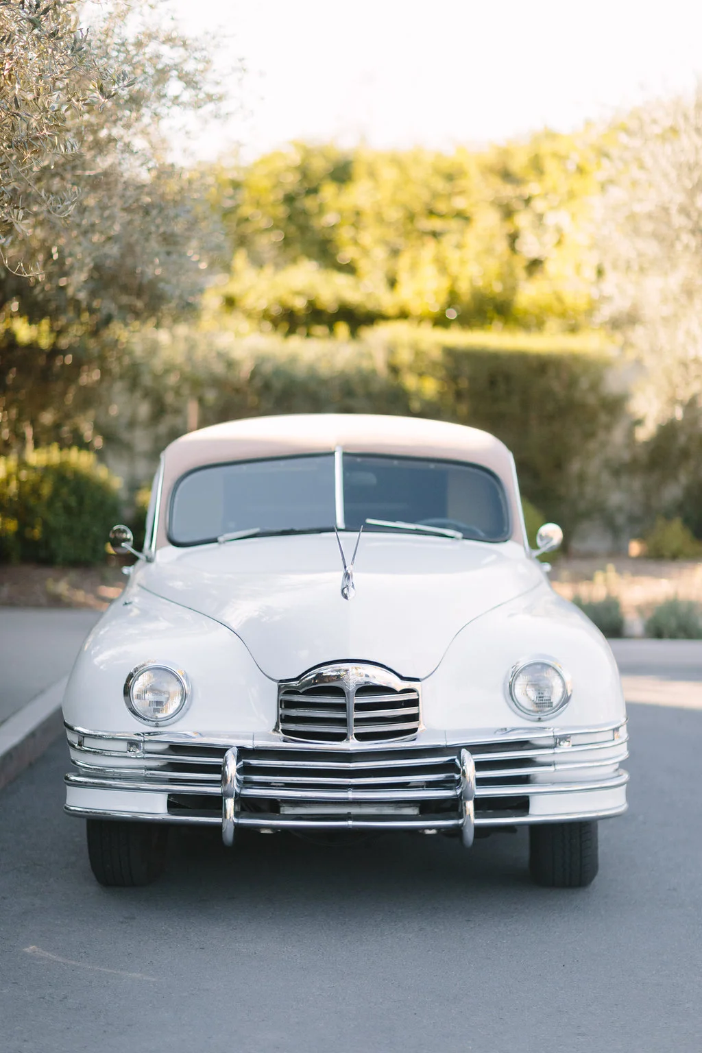 LCphoto-AB-elope-preview-16.jpg