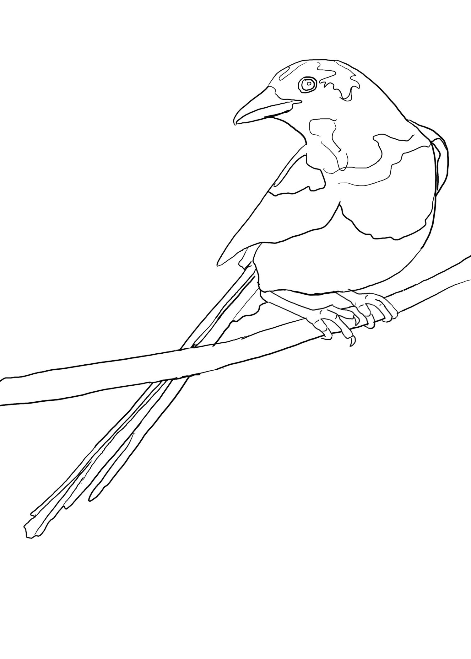 Untitled_Artwork 11.jpg