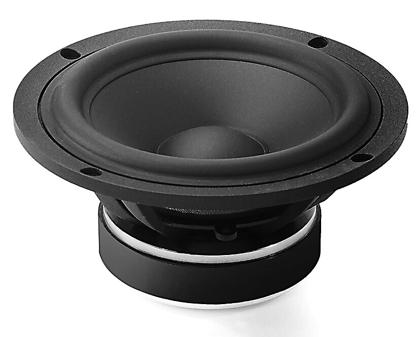 One of the low frequency transducers.