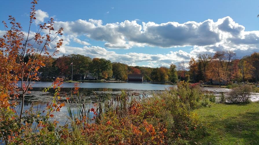 fall+ltcc+2015.jpg