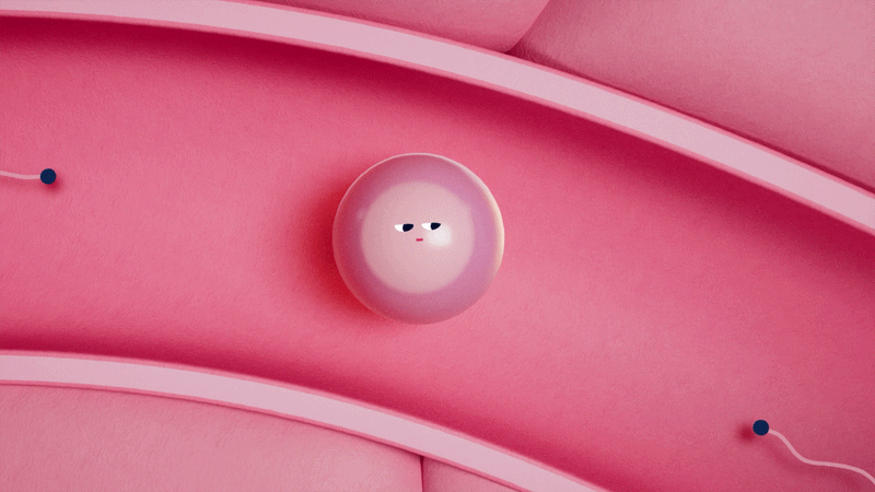 Egg.gif
