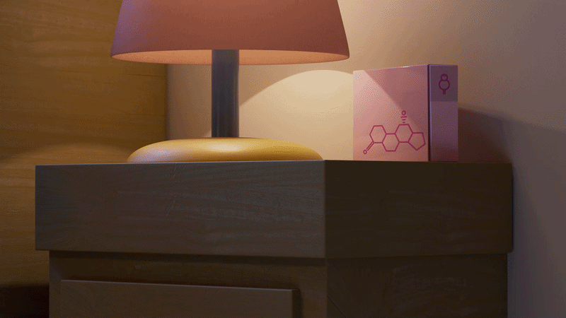 LAMP.gif