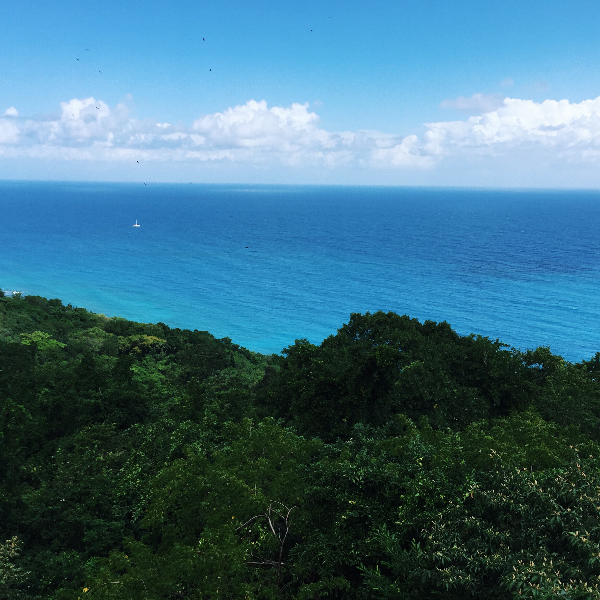 Why Cruising is Perfect for Newlyweds