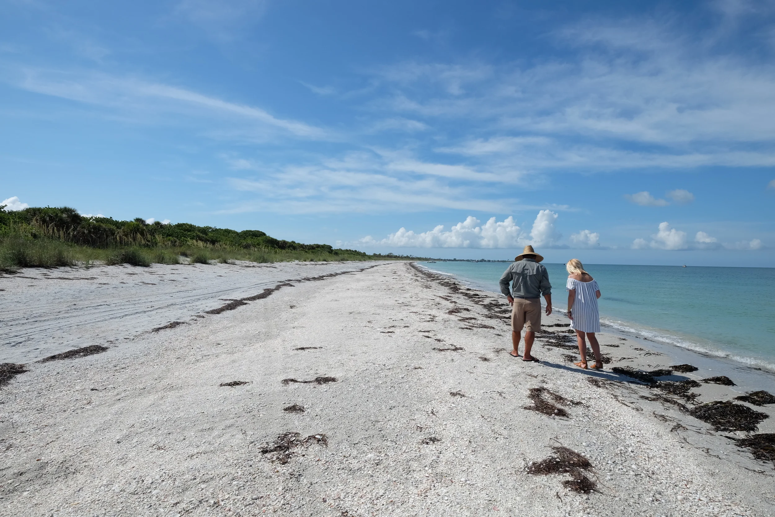 Sea Shelling is COOL!