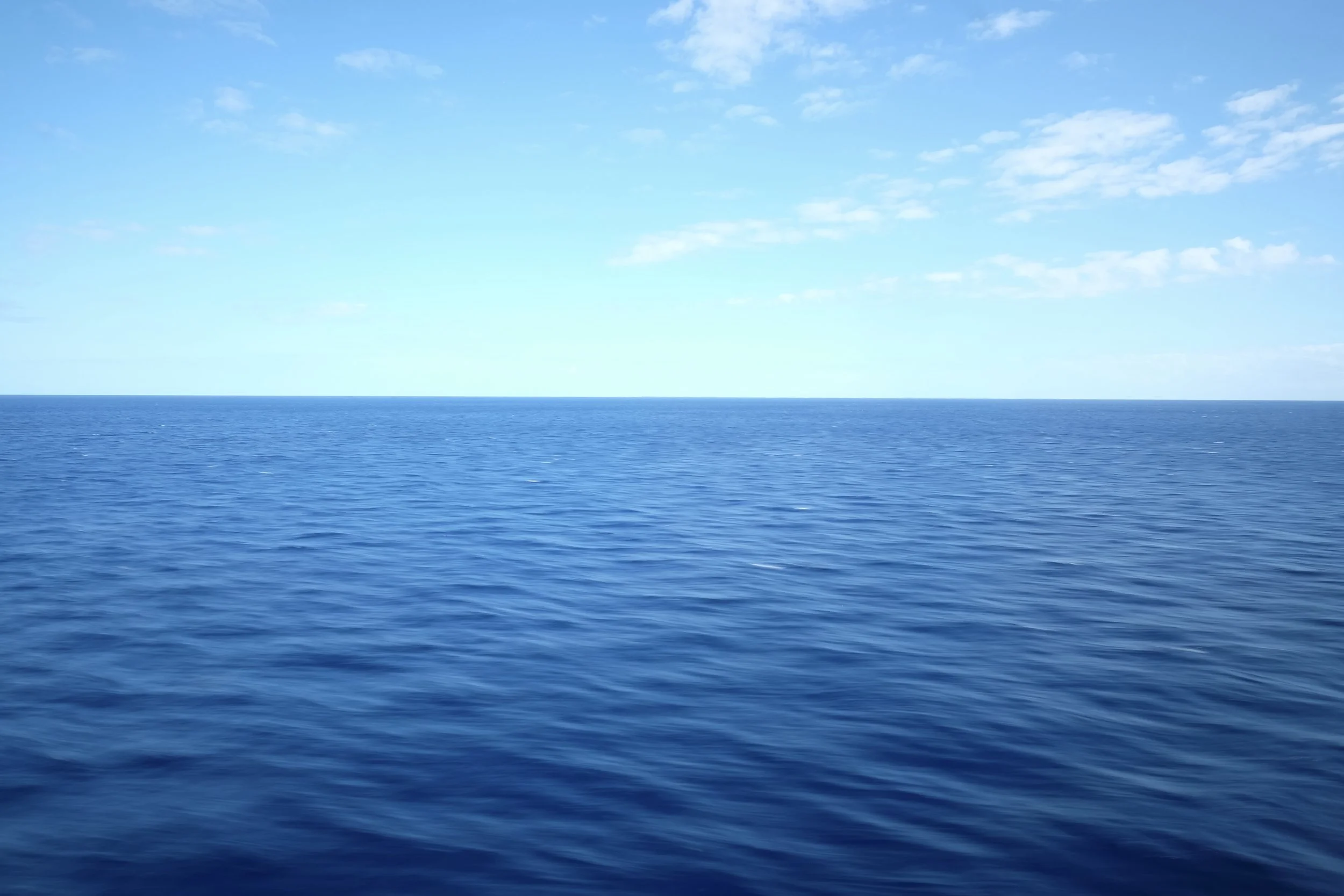 fullsizeoutput_5092.jpeg