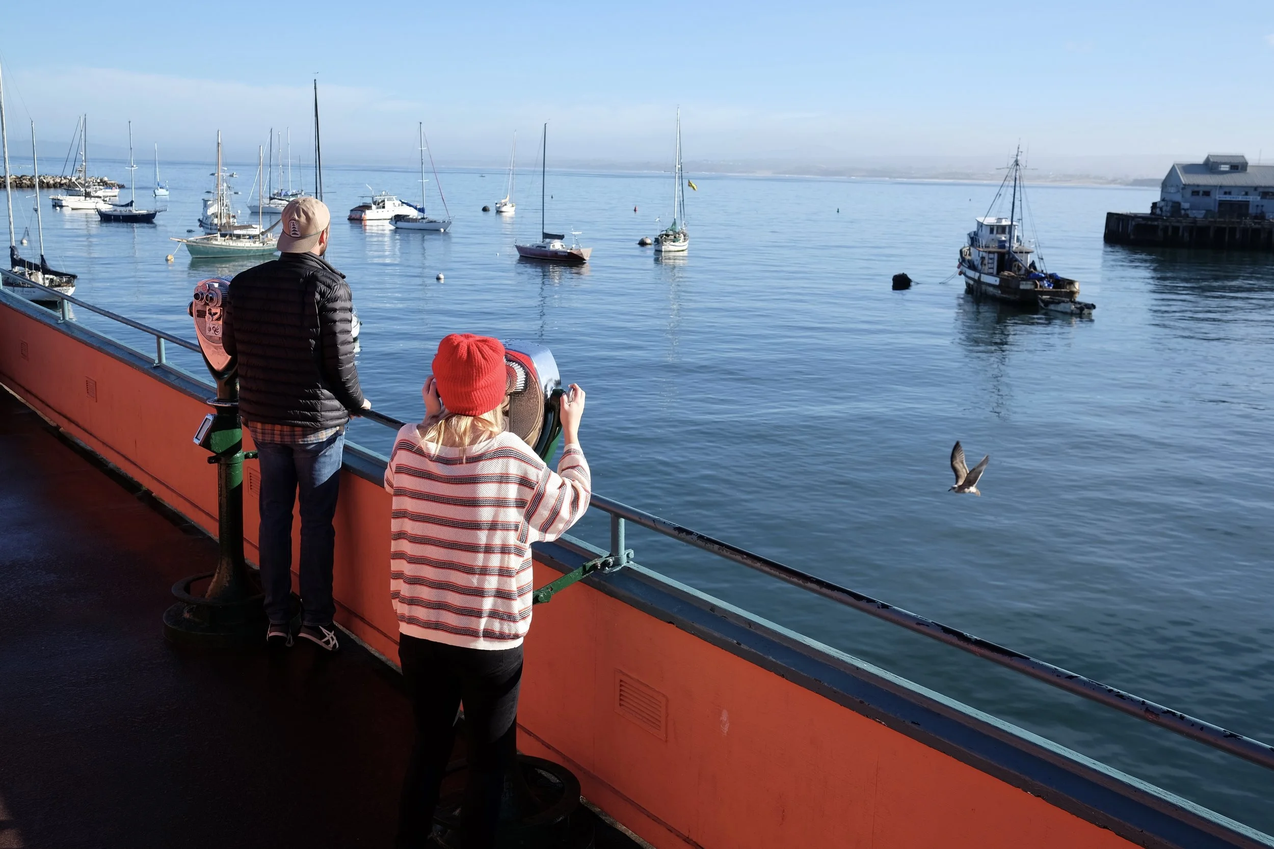 Monterey Beyond the Aquarium: Whales, Wine, and More!