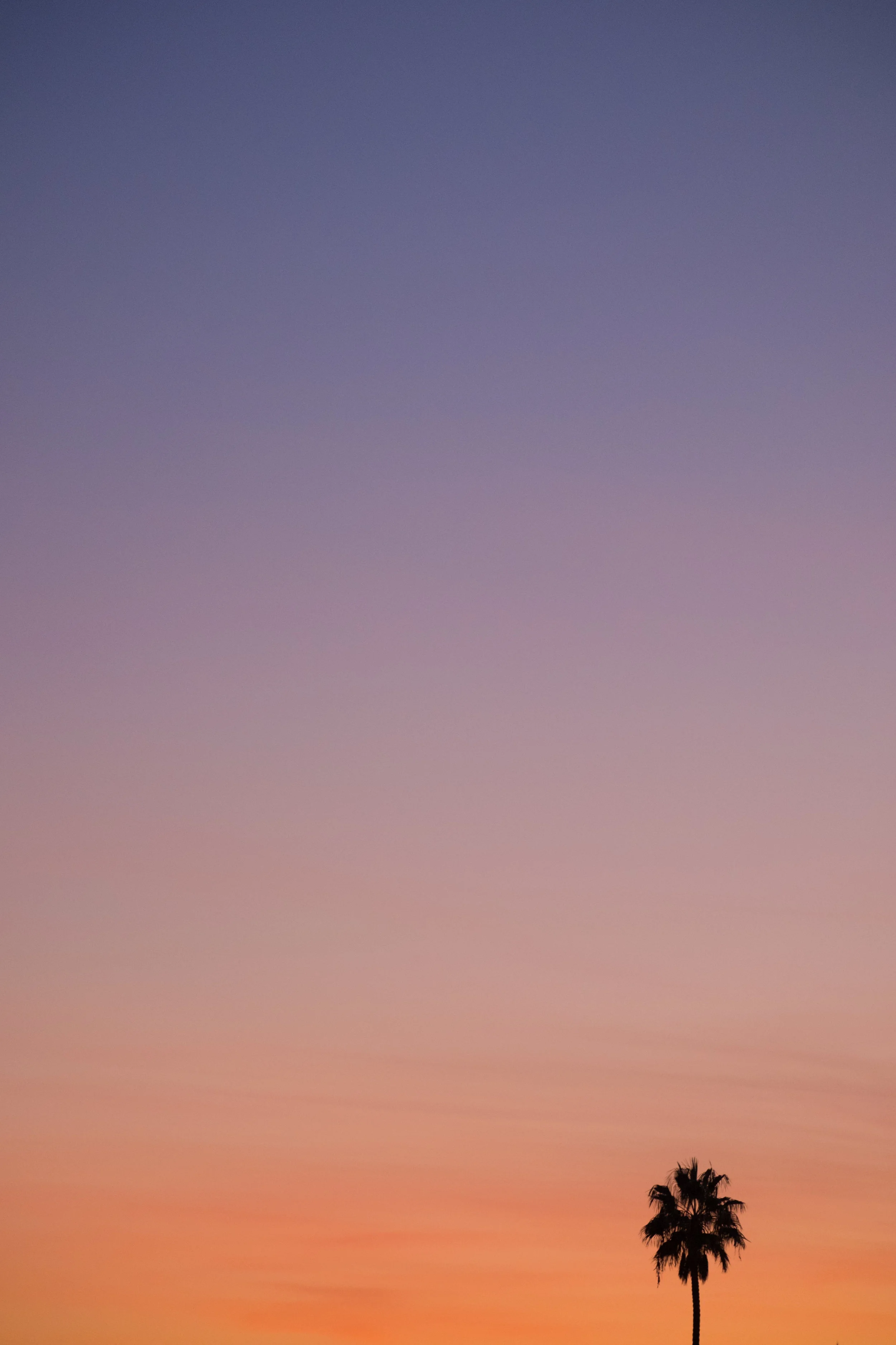 DSCF1075.jpg