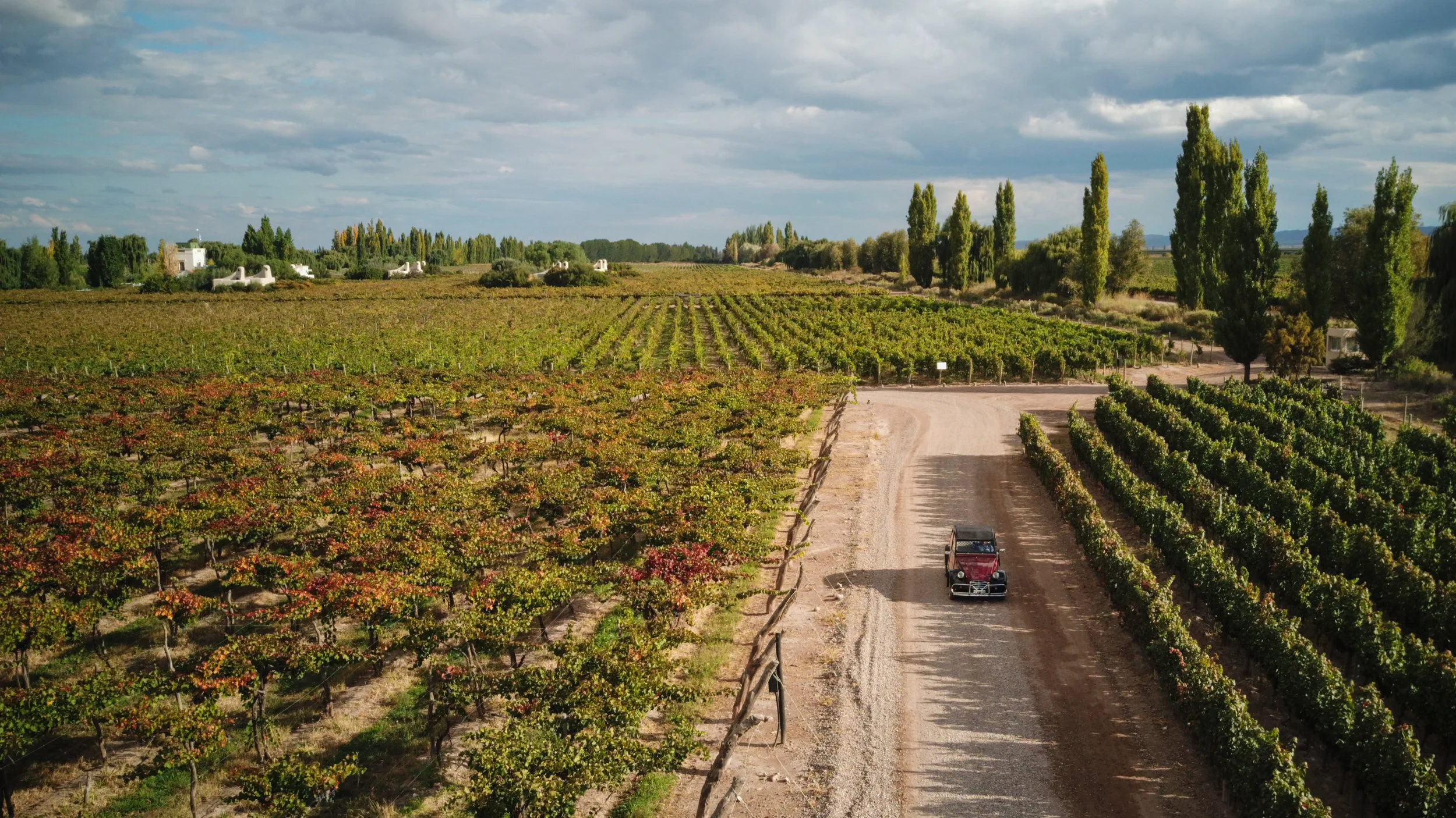 DJI_0896.jpg