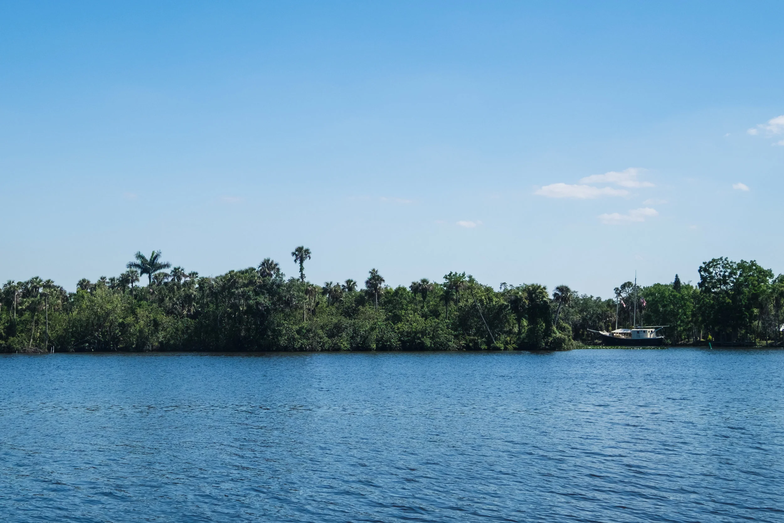 Why The Beaches of Ft. Myers & Sanibel are a Nature-Lover's Paradise