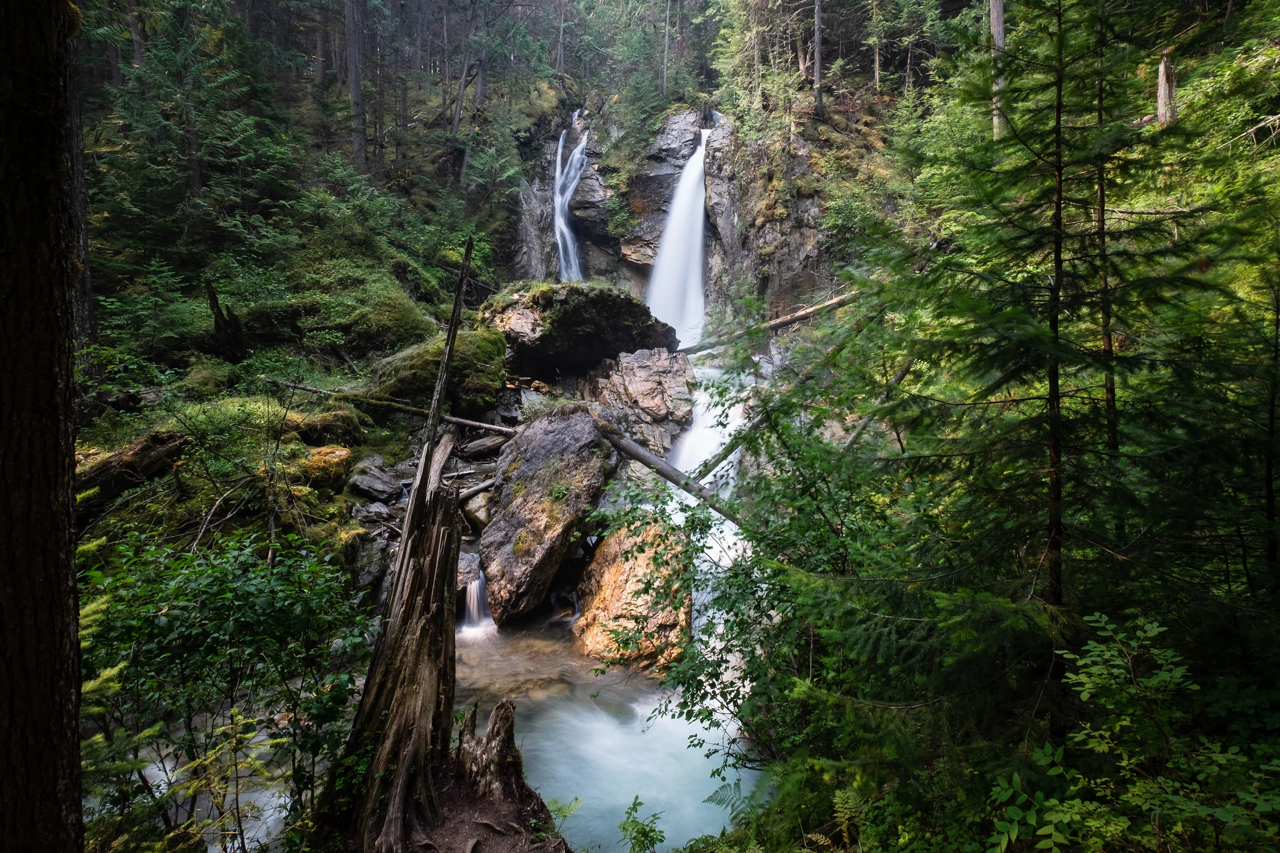 DSCF1524.jpg