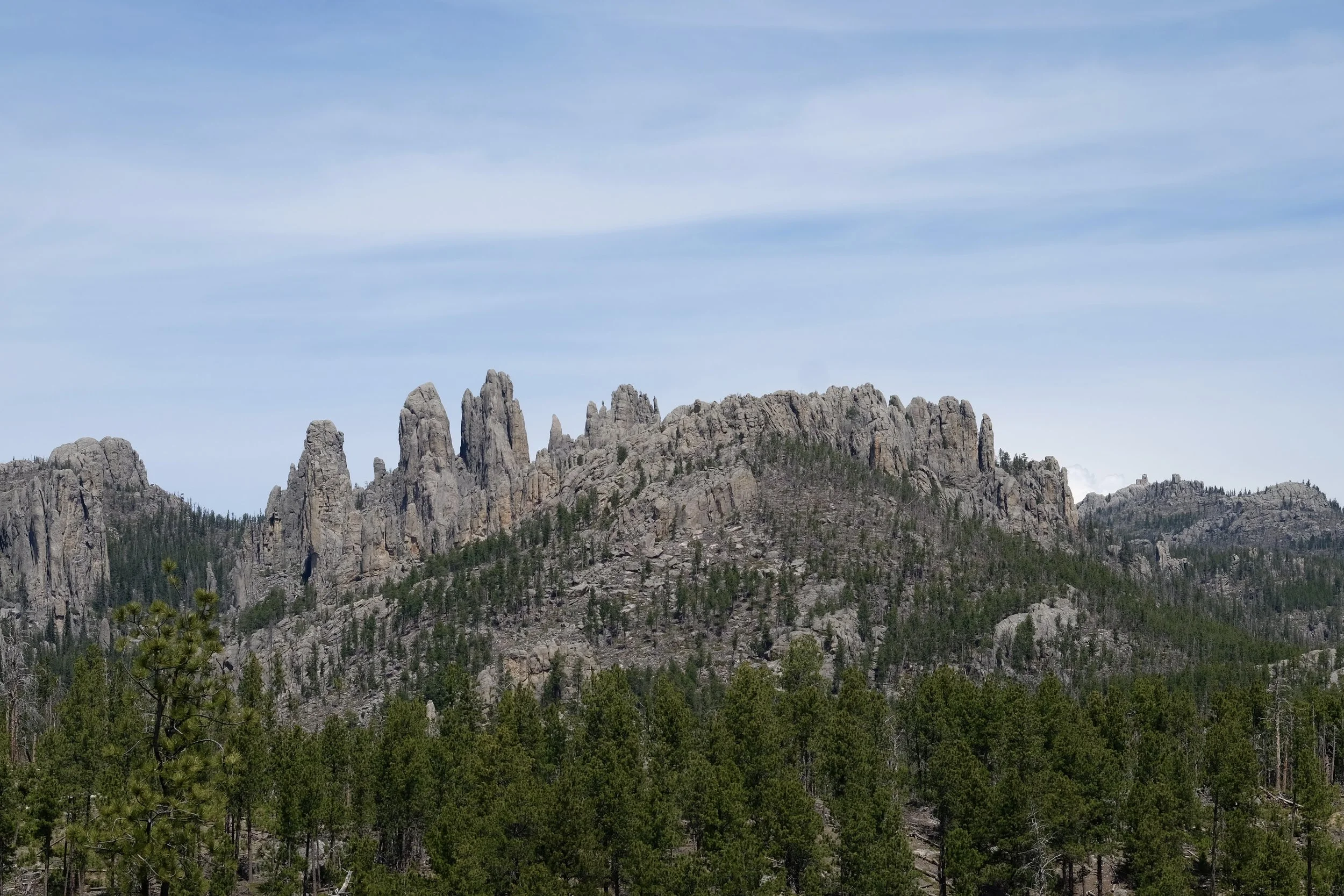 DSCF2760.jpg