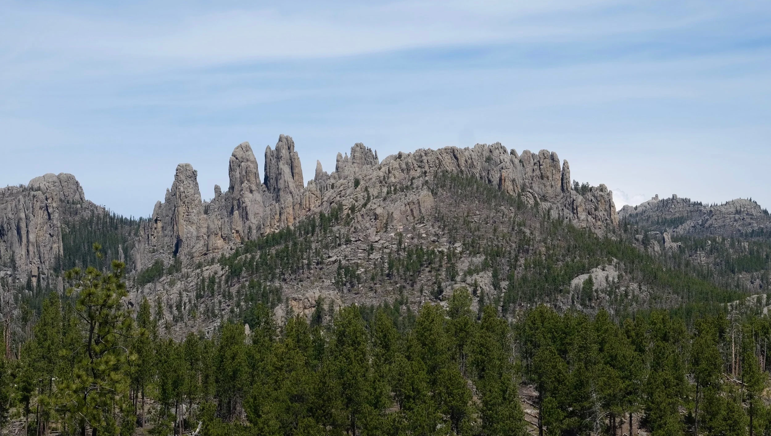 DSCF2760.jpg