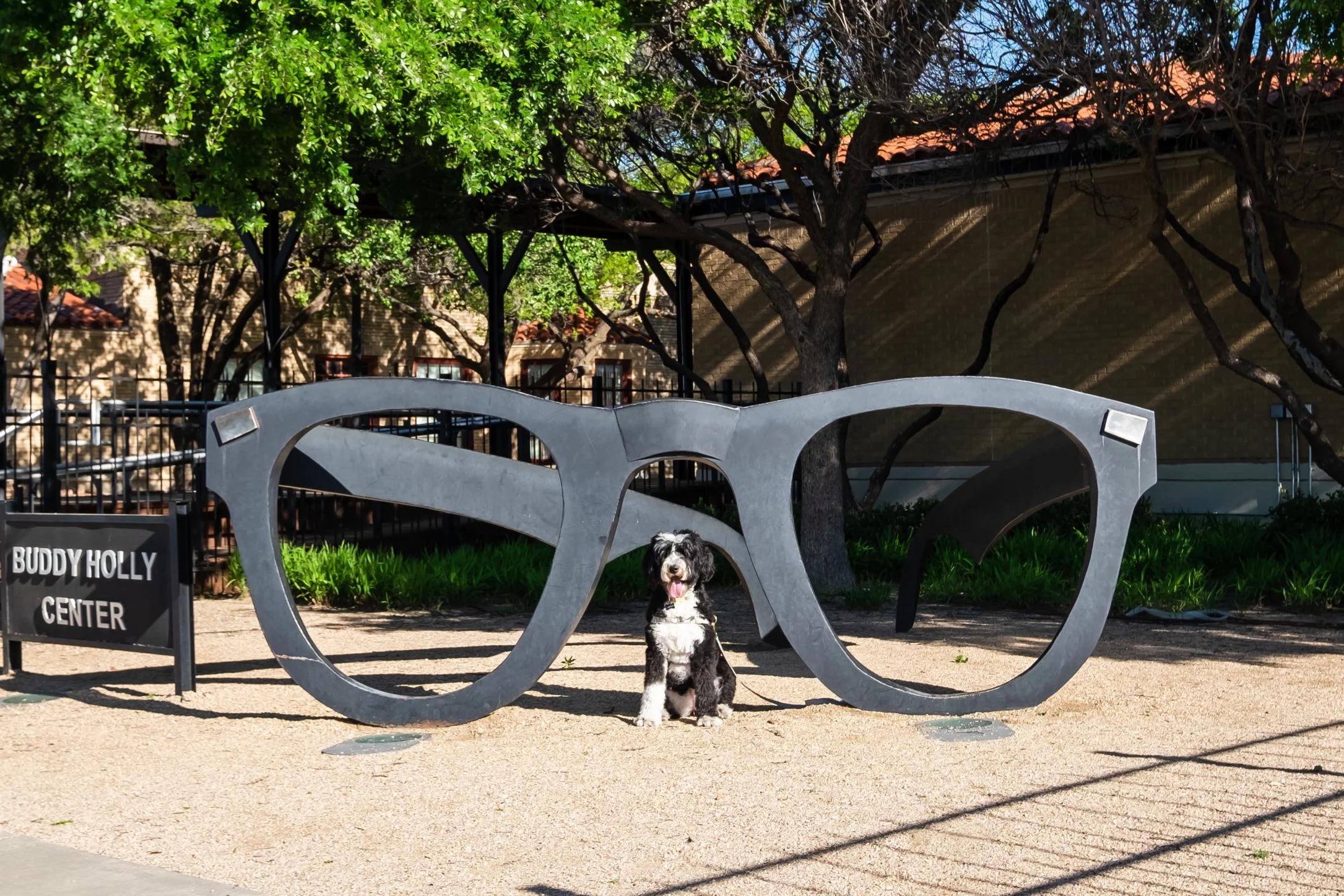 Our Dog Friendly Guide to Lubbock, Texas