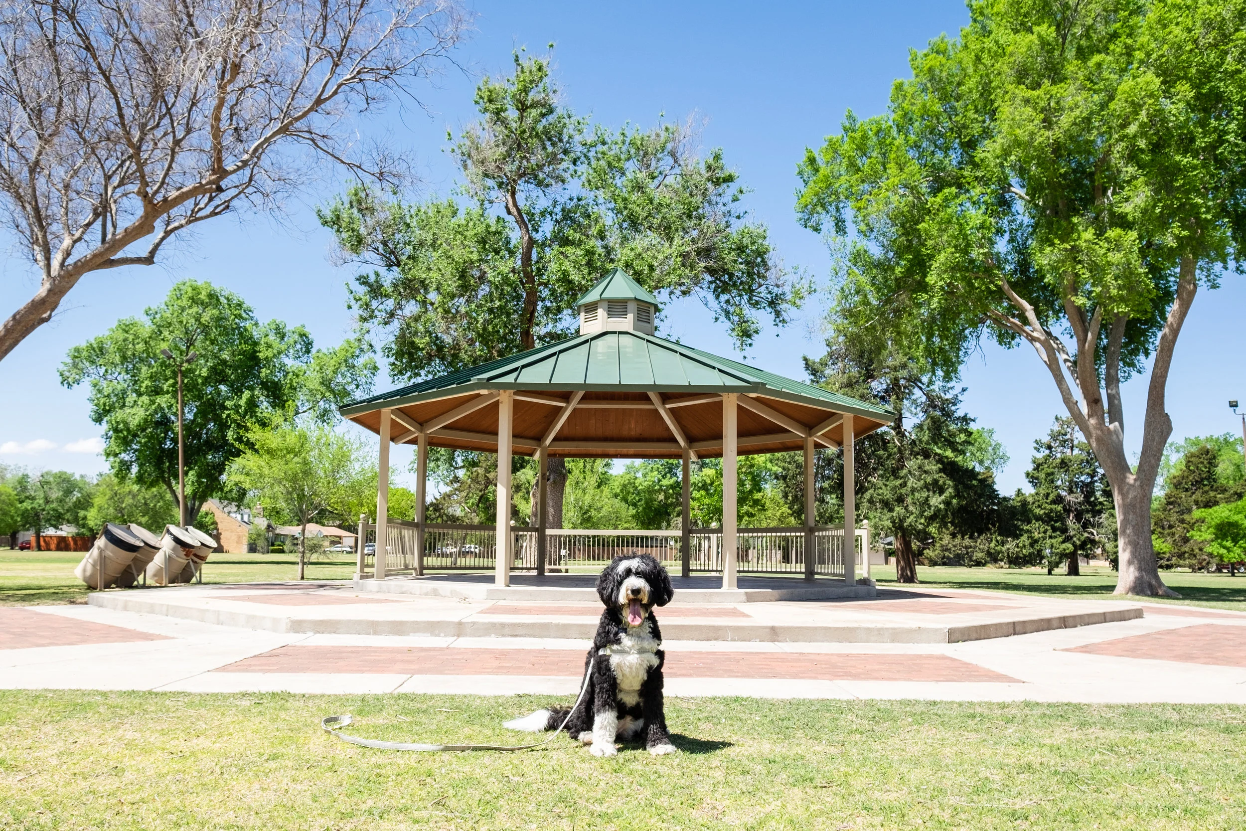 Our Dog Friendly Guide to Lubbock, Texas — Traveling Newlyweds