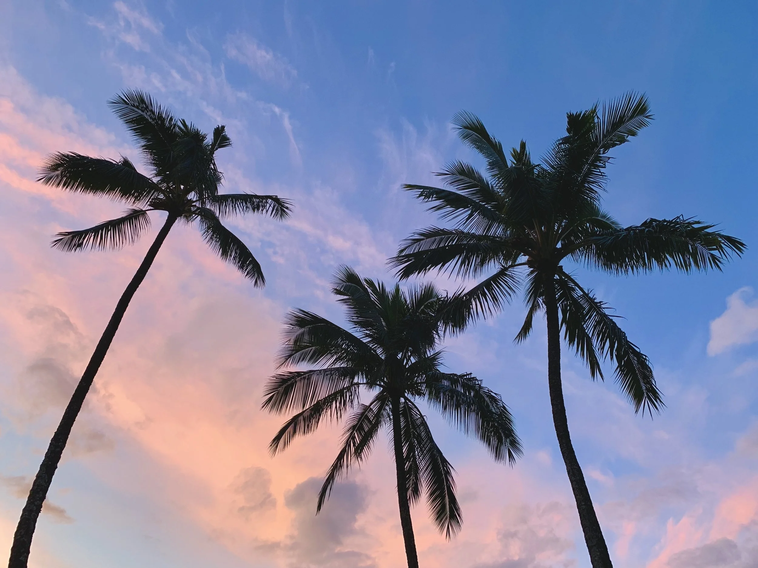 5 Reasons Everyone Should Love Boingo