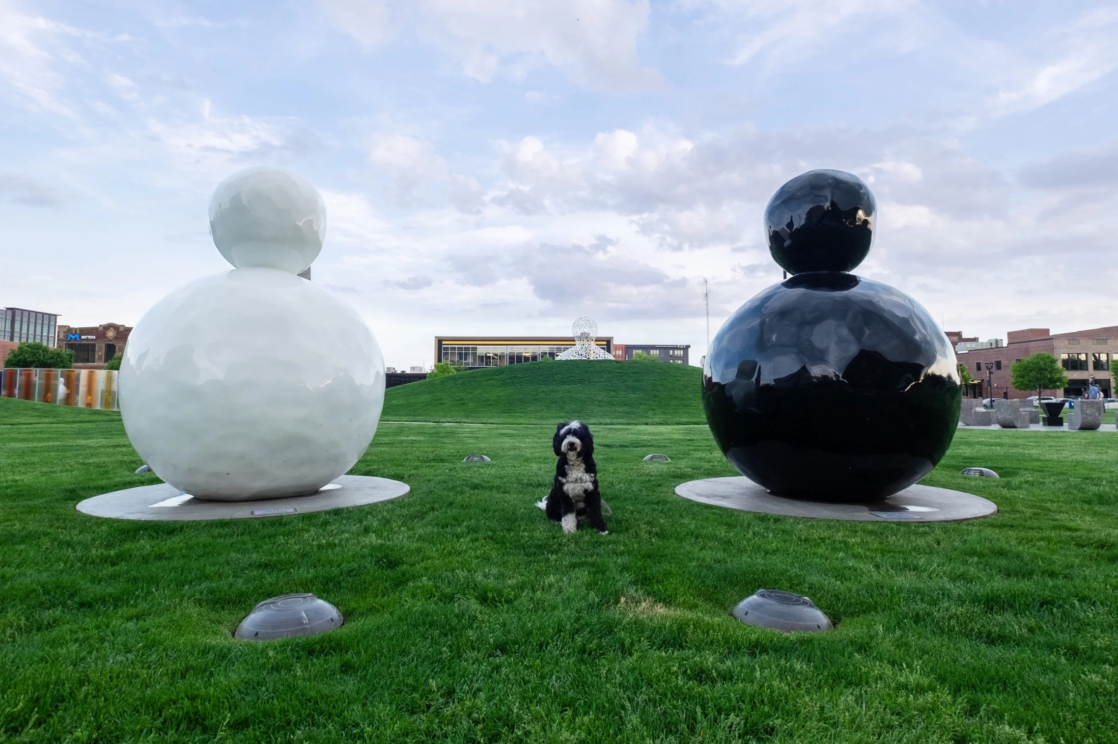Our Dog-Friendly Guide to Des Moines