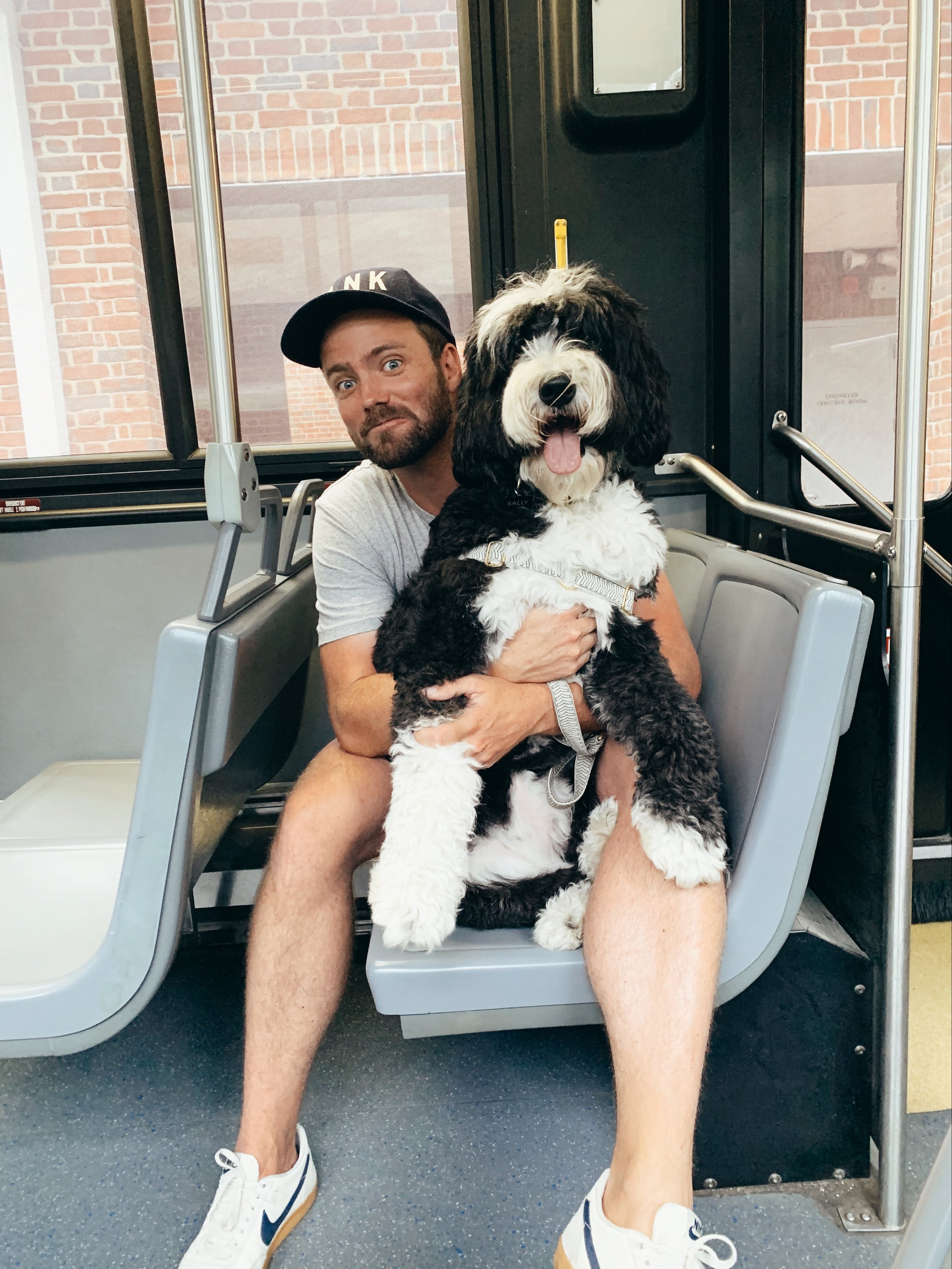 Our DogFriendly Guide to Williamsburg, Virginia — Traveling Newlyweds