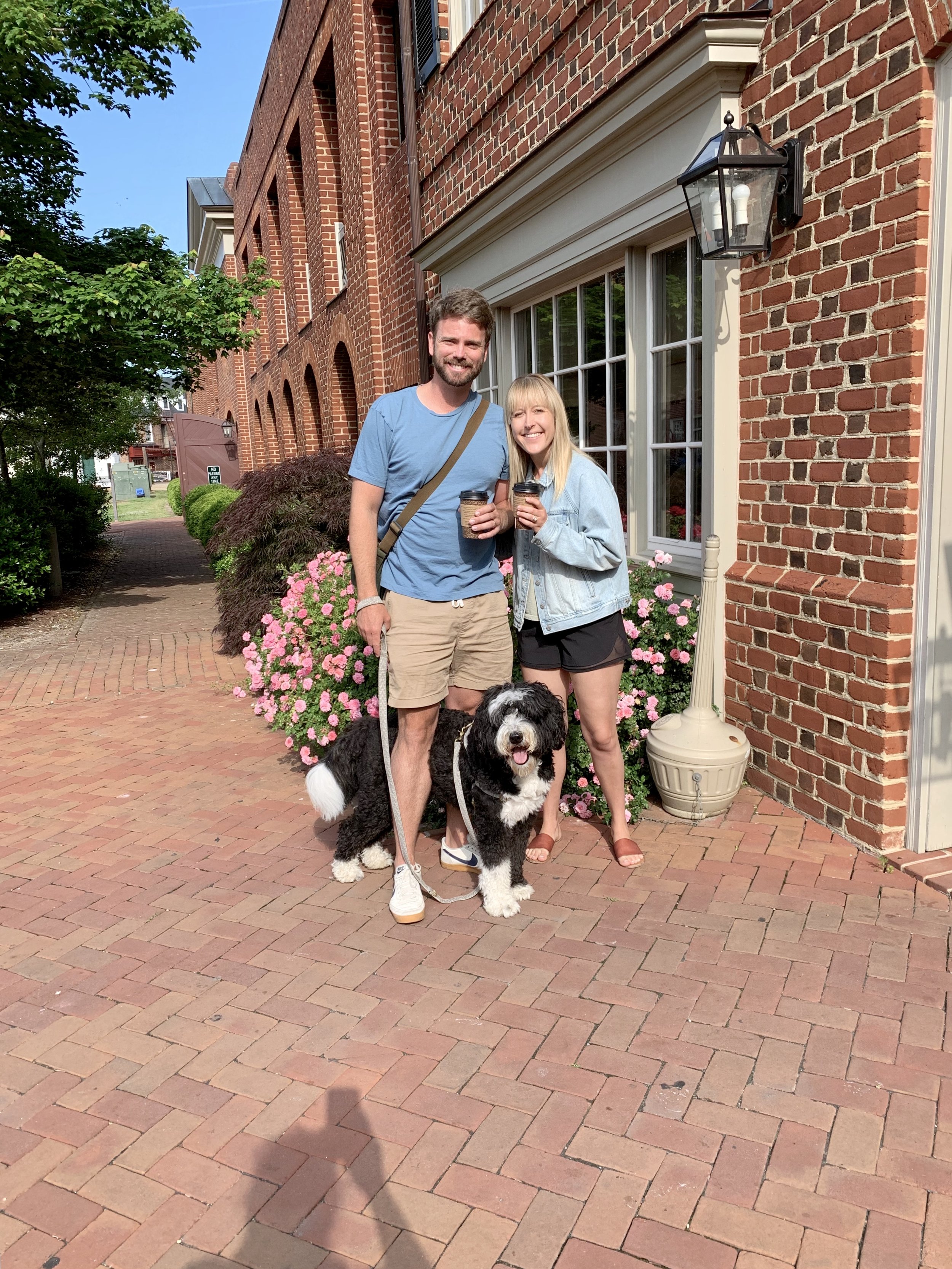 are dogs allowed at colonial williamsburg