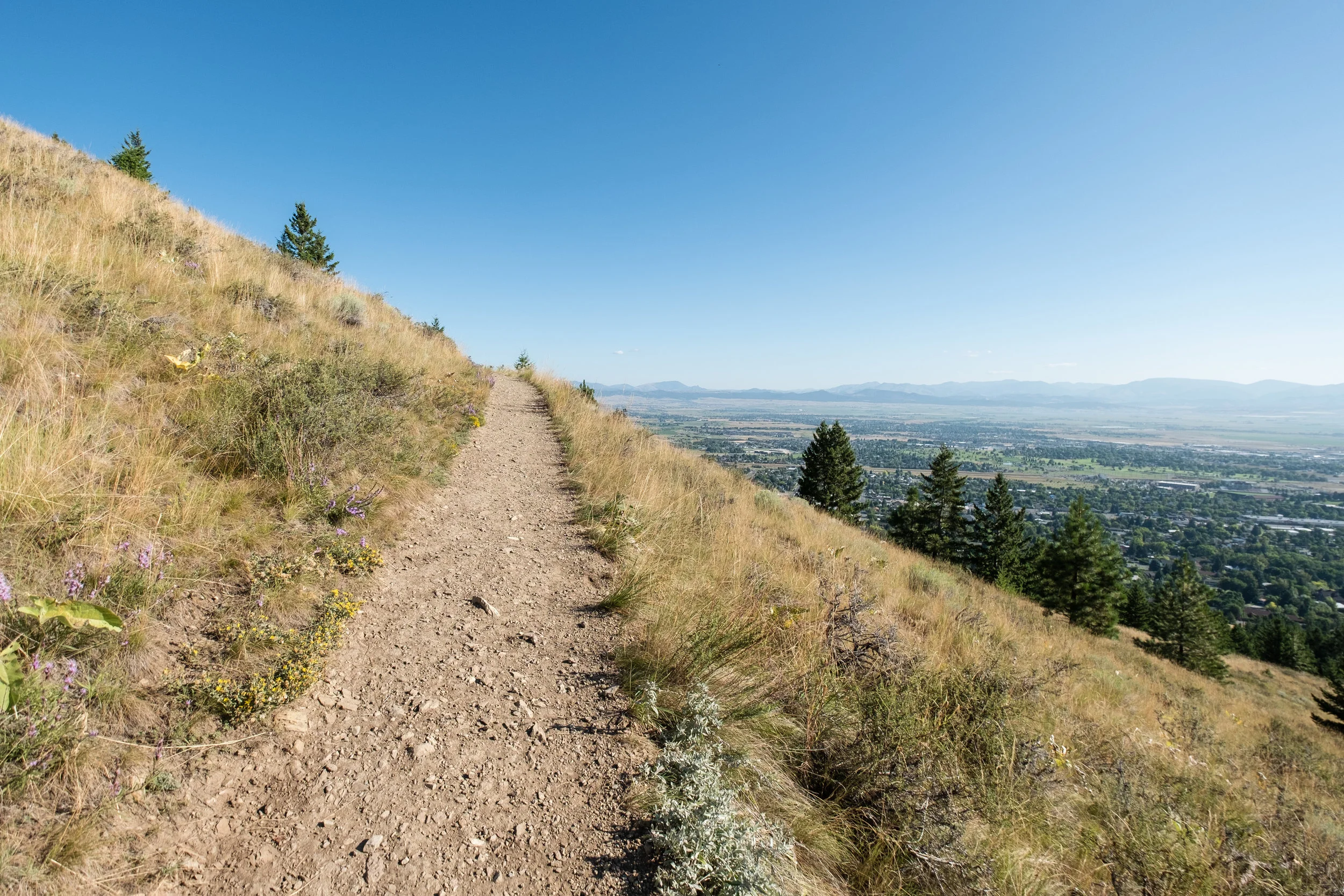 A Couples Guide to 24 Hours in Helena, Montana