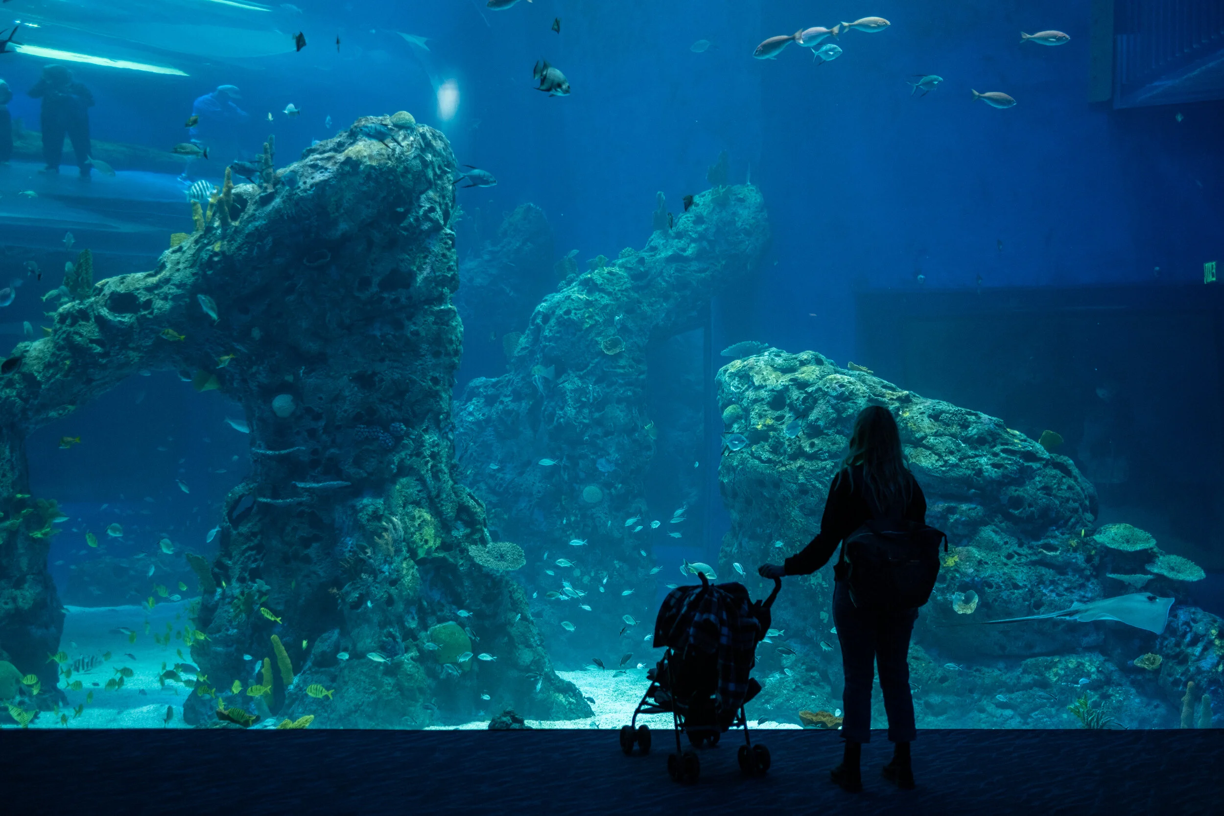 5 Family Friendly Adventures in Coastal Mississippi