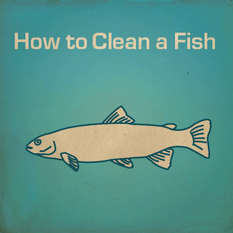 Clean+Fish.gif