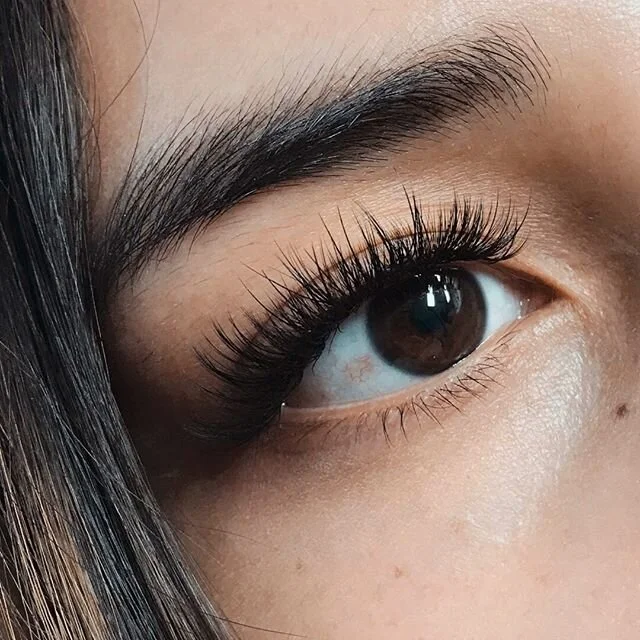 LashBee by Beaudee Lash Bar Training