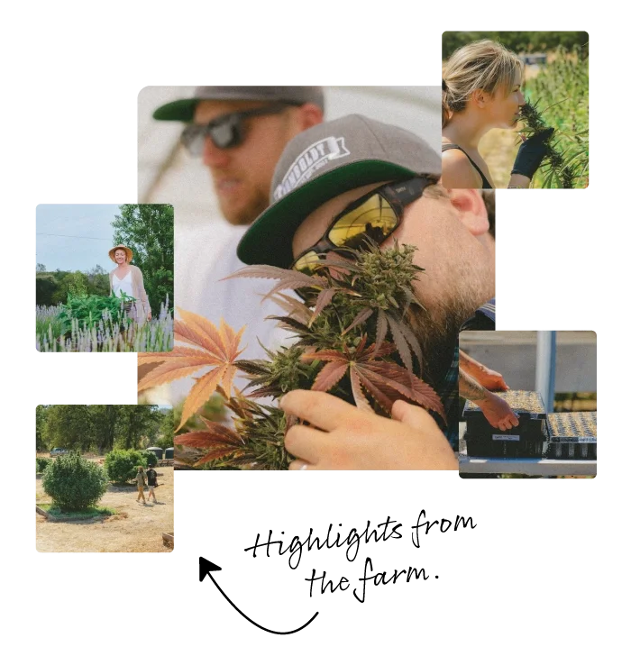 Welcome to the Family Humboldt Seed Company