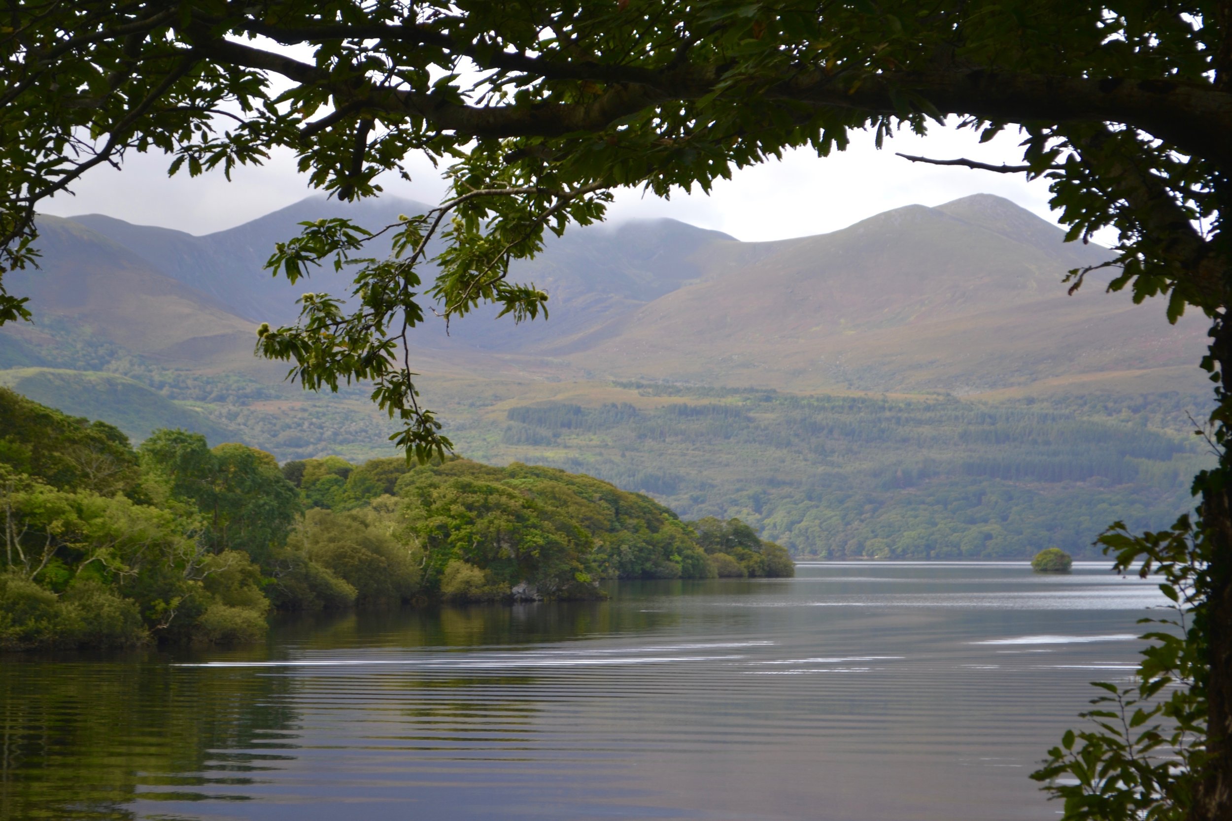 A view of Macgillycuddy's Reeks