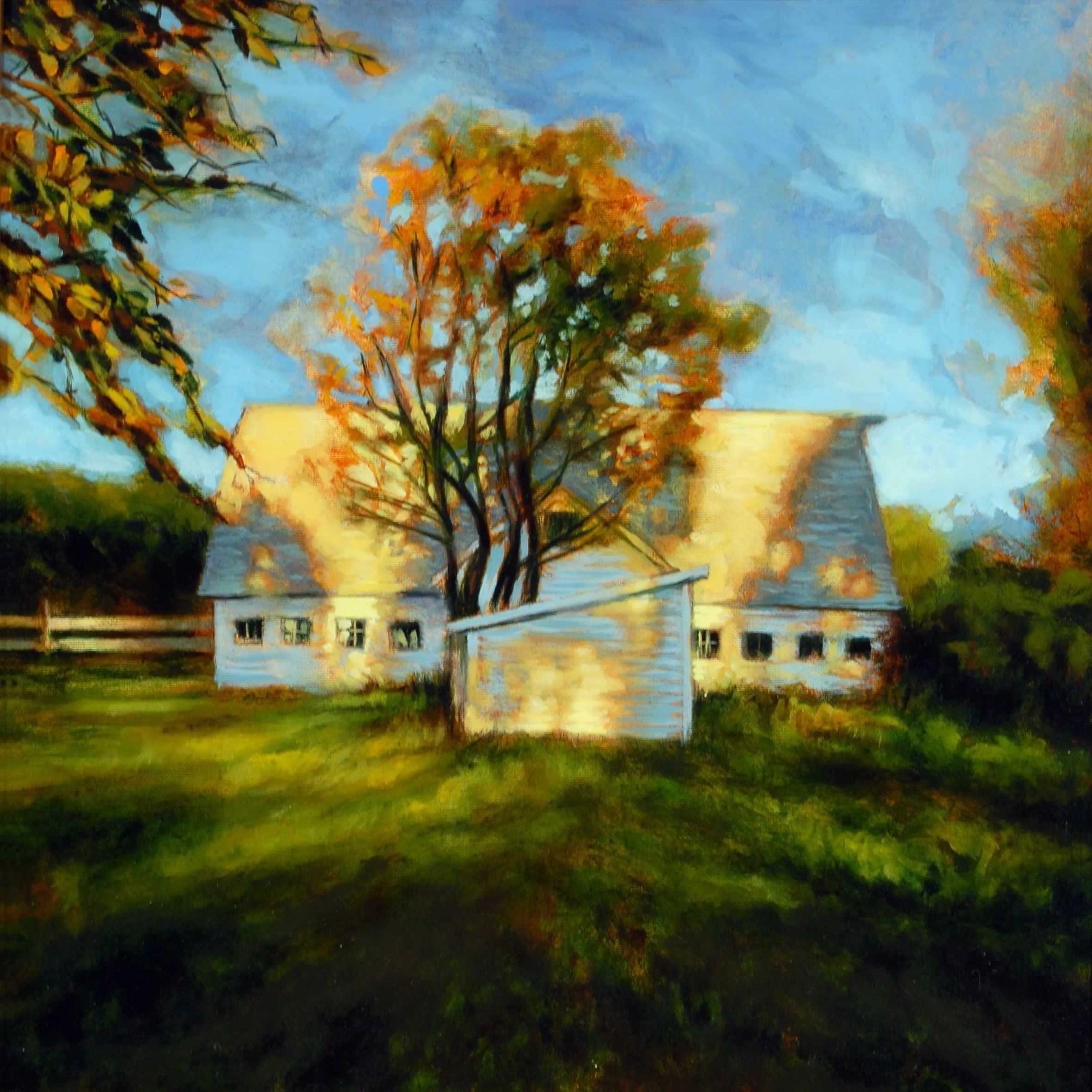 AA_0_002.JPG