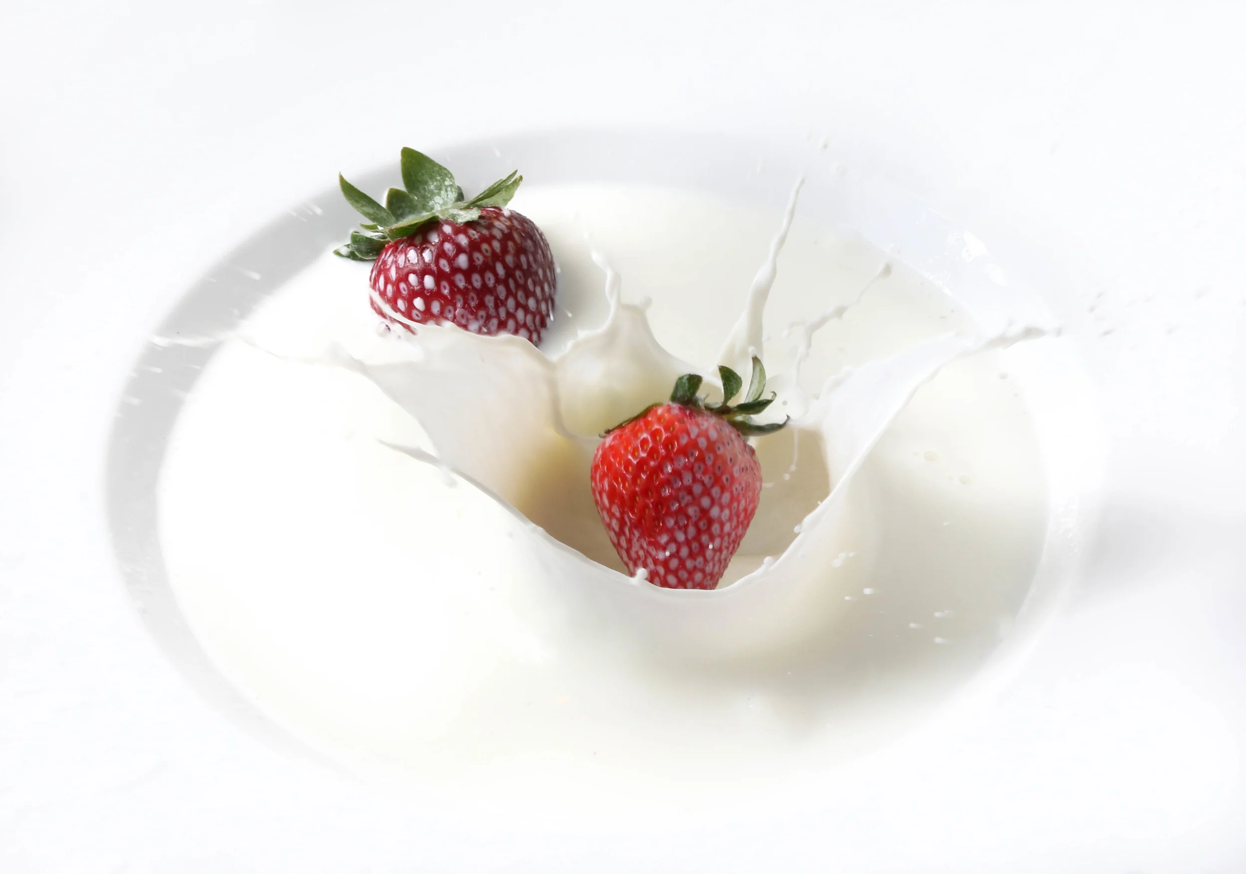 file_2500x1755_019508.jpg