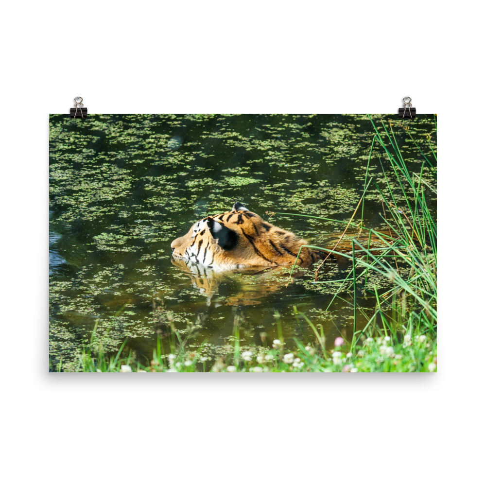 Crouching-Tiger_mockup_Transparent_Transparent_24x36.png