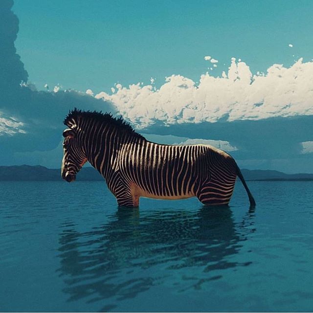 @neilkrug 🦓